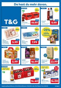T&G Flugblatt