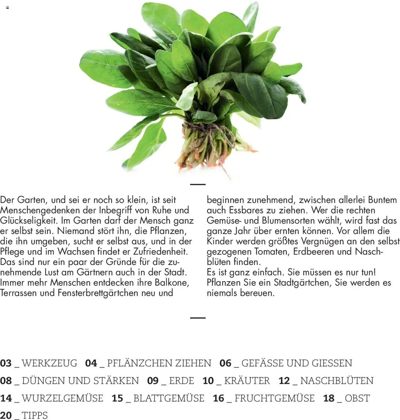 bellaflora - Urban Gardening