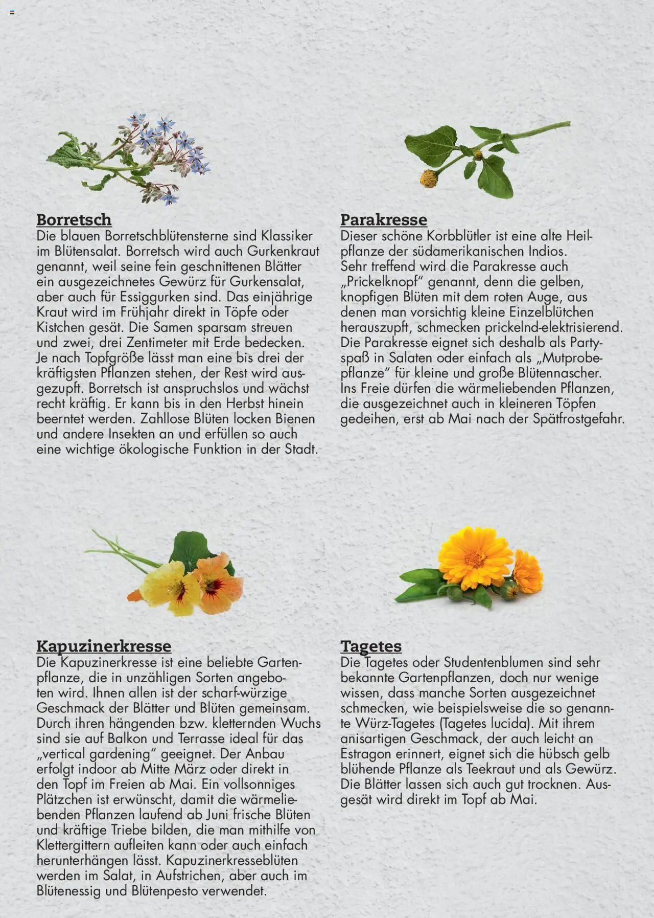 bellaflora - Urban Gardening