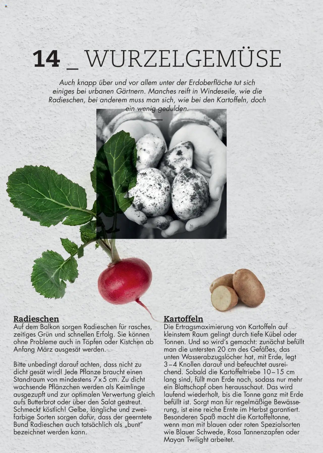 bellaflora - Urban Gardening