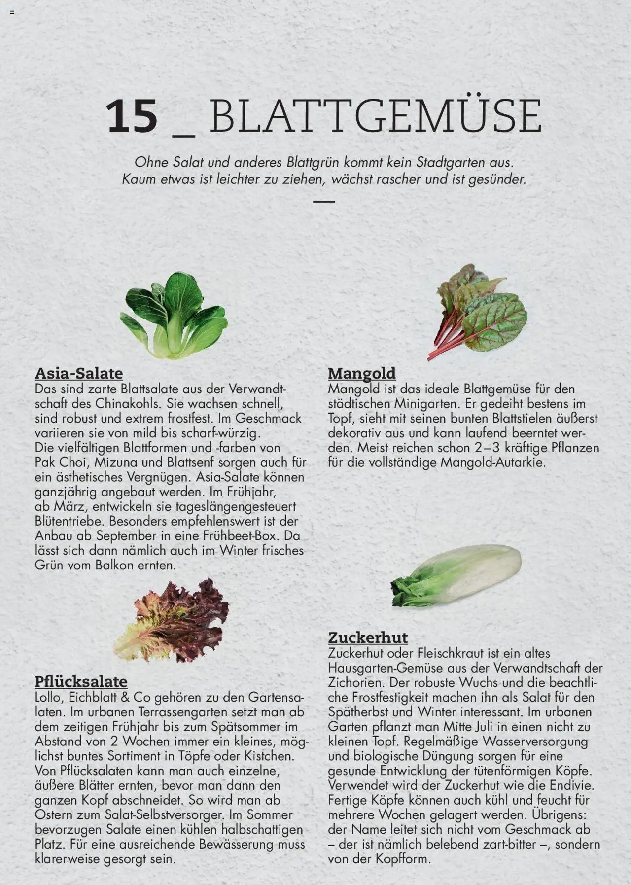 bellaflora - Urban Gardening