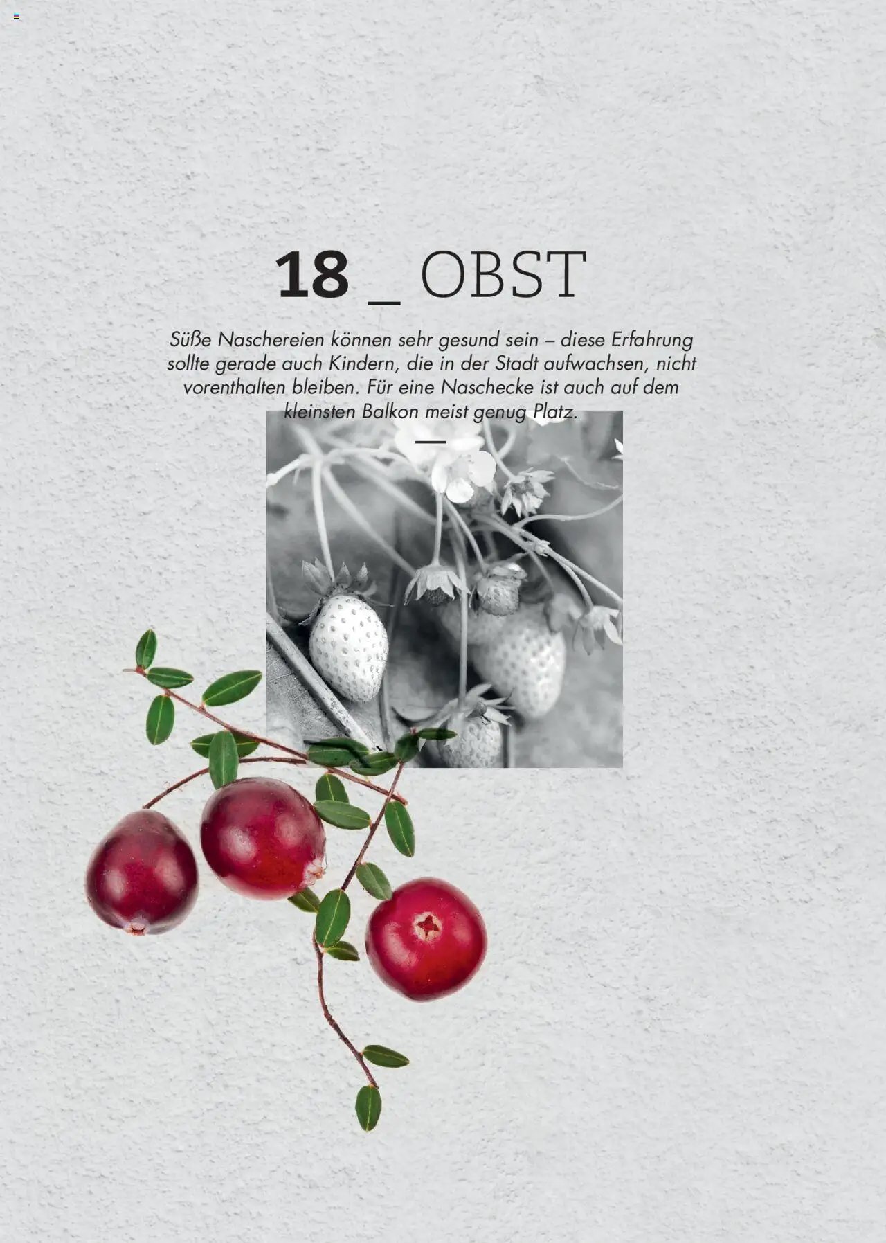 bellaflora - Urban Gardening