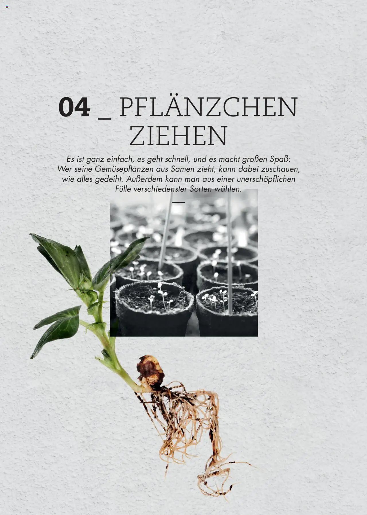 bellaflora - Urban Gardening