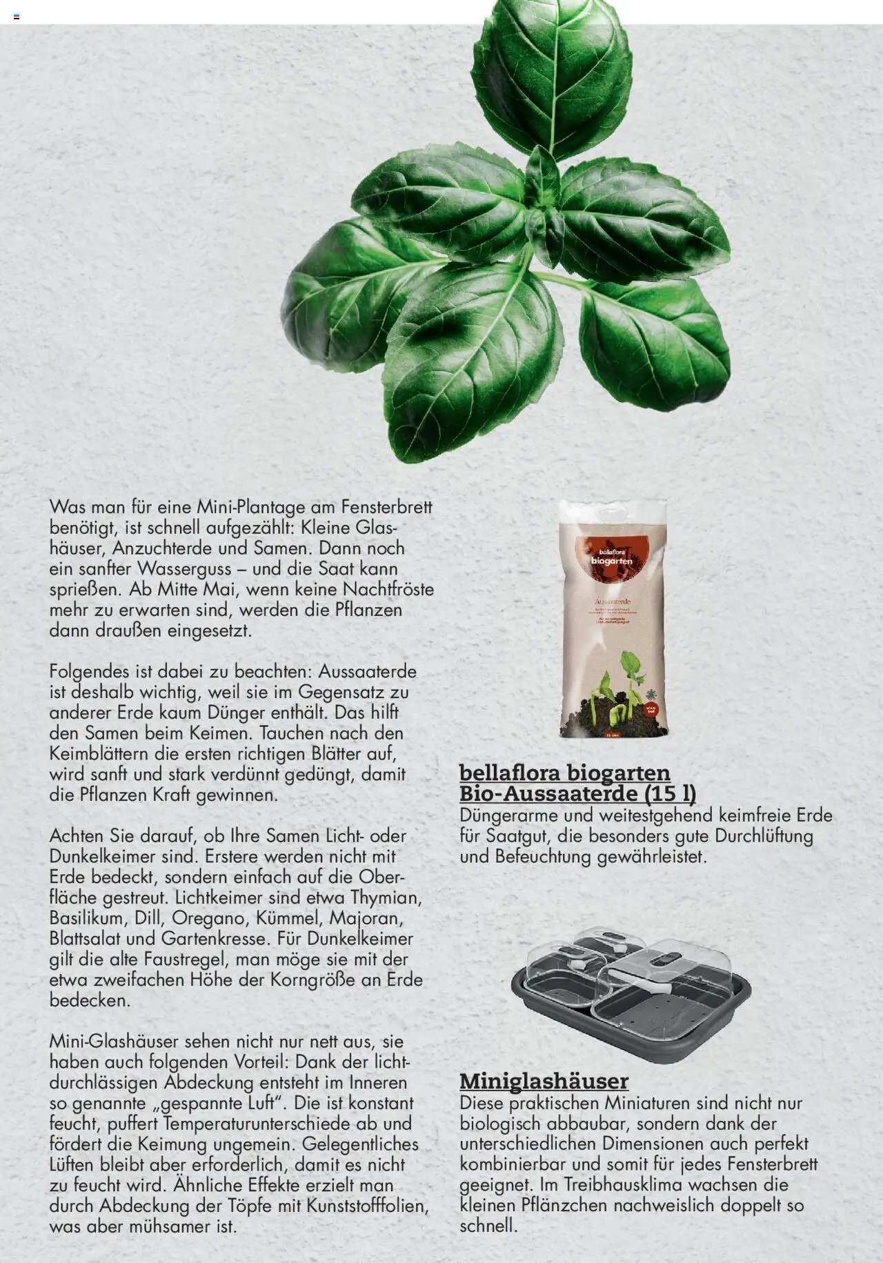 bellaflora - Urban Gardening