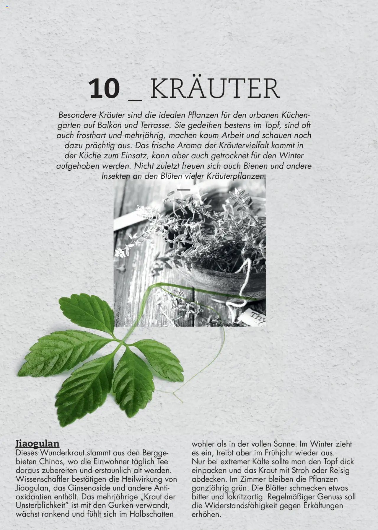 bellaflora - Urban Gardening