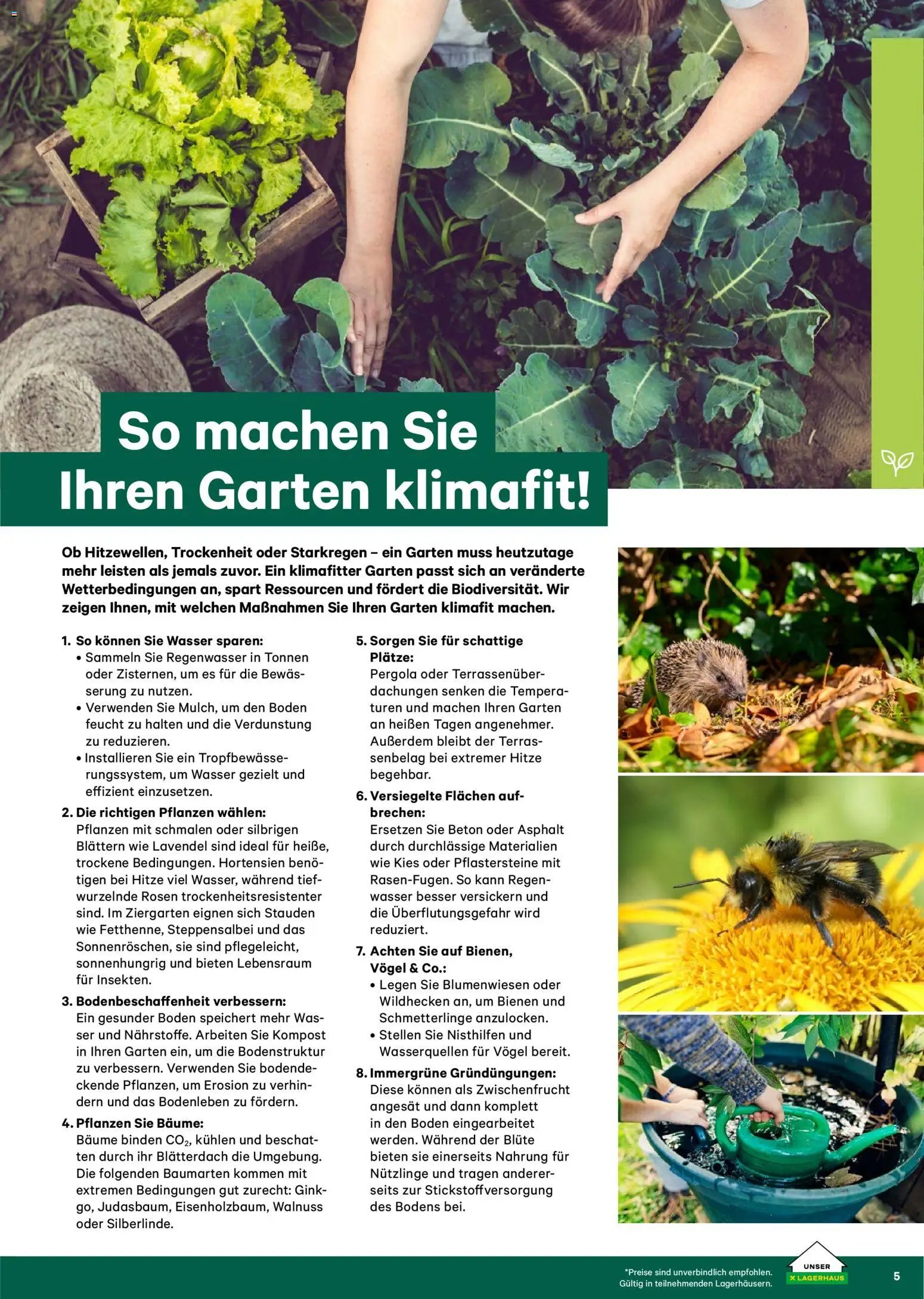Lagerhaus  Garten und Freizeit Katalog 2026