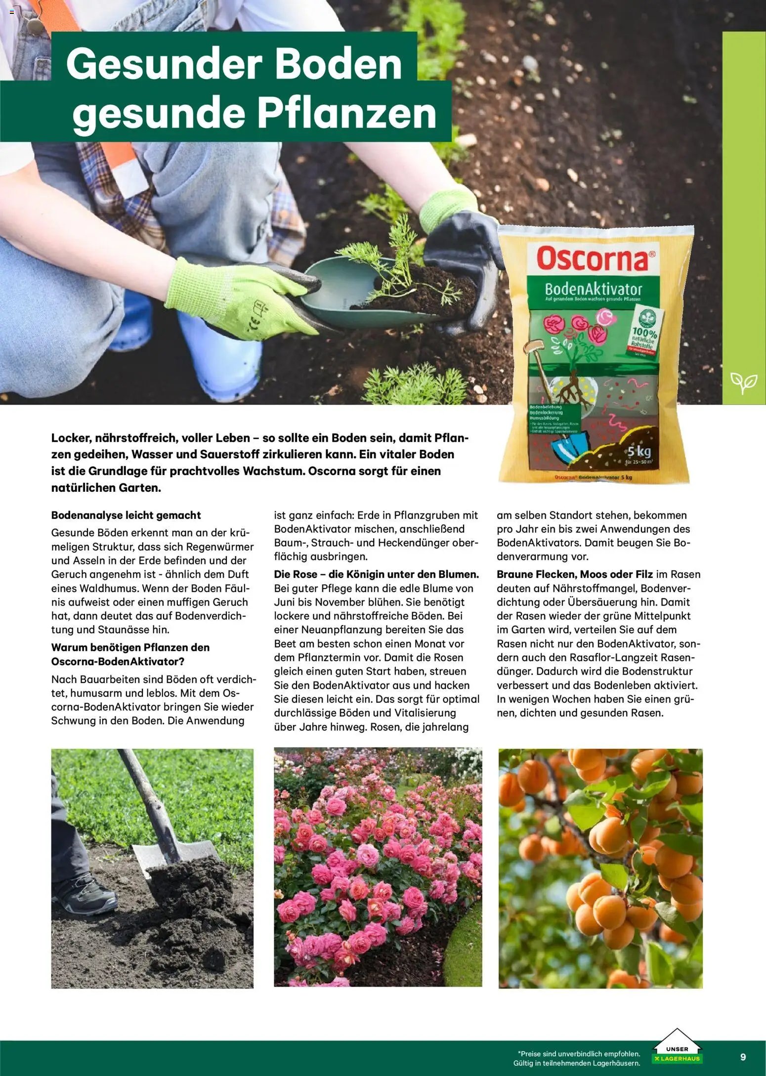 Lagerhaus  Garten und Freizeit Katalog 2026