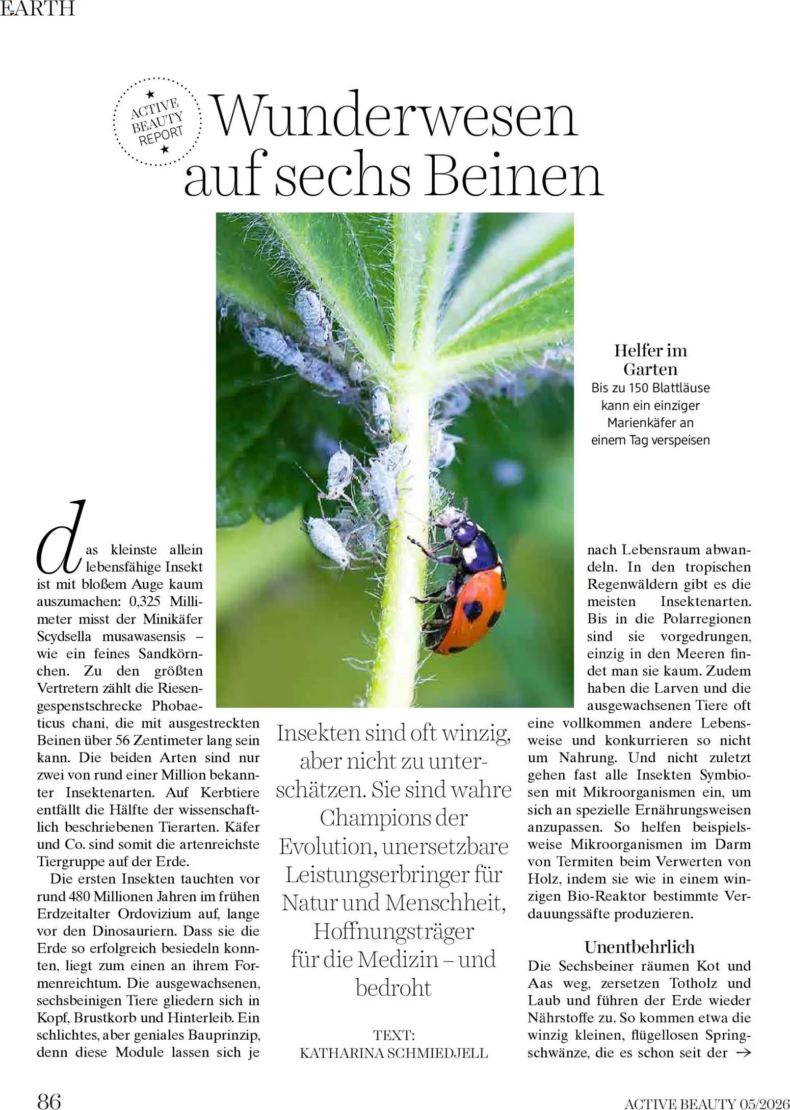 dm drogerie markt Active Beauty Magazin 05/2026