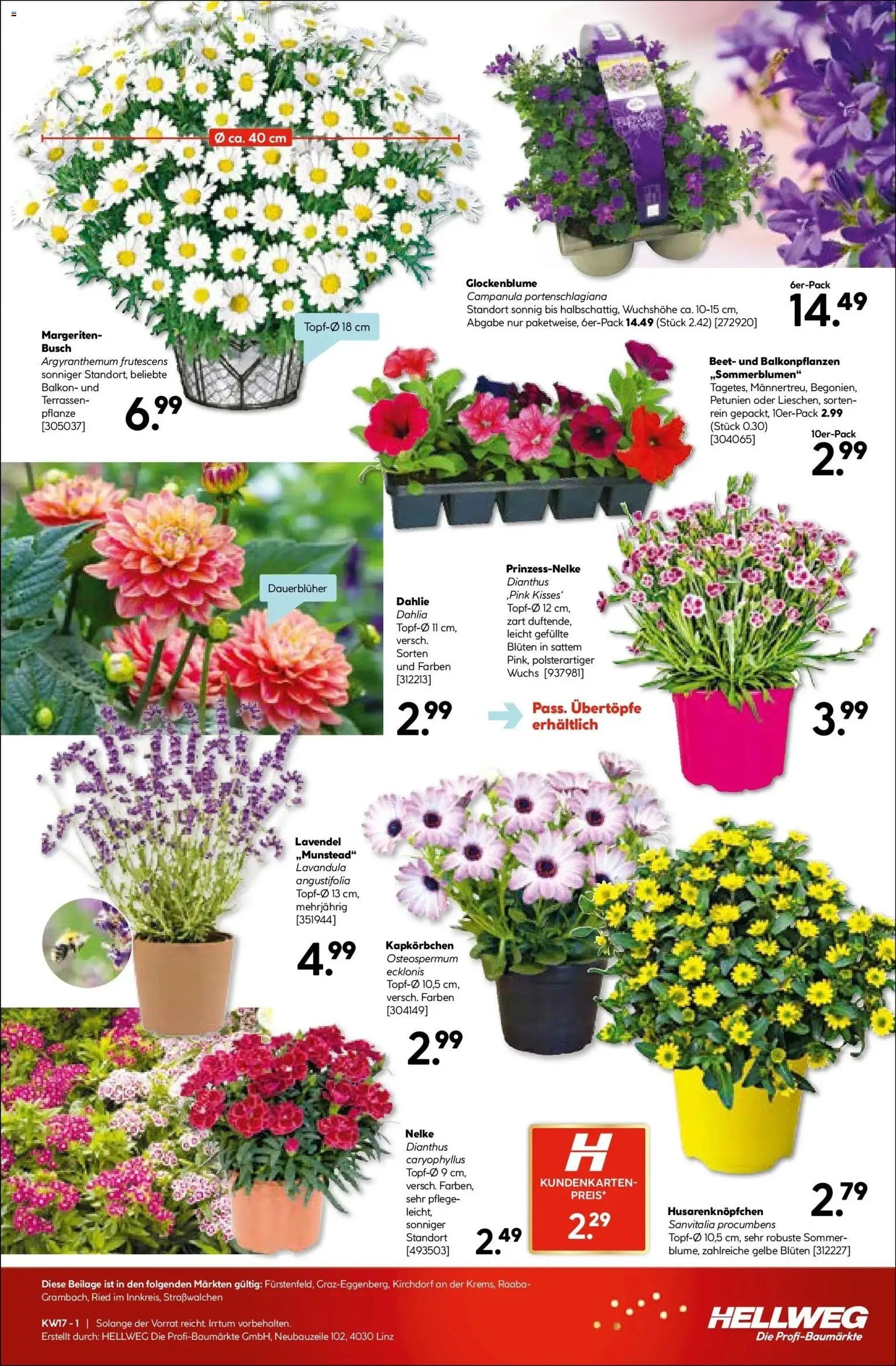 HELLWEG Fürstenfeld	