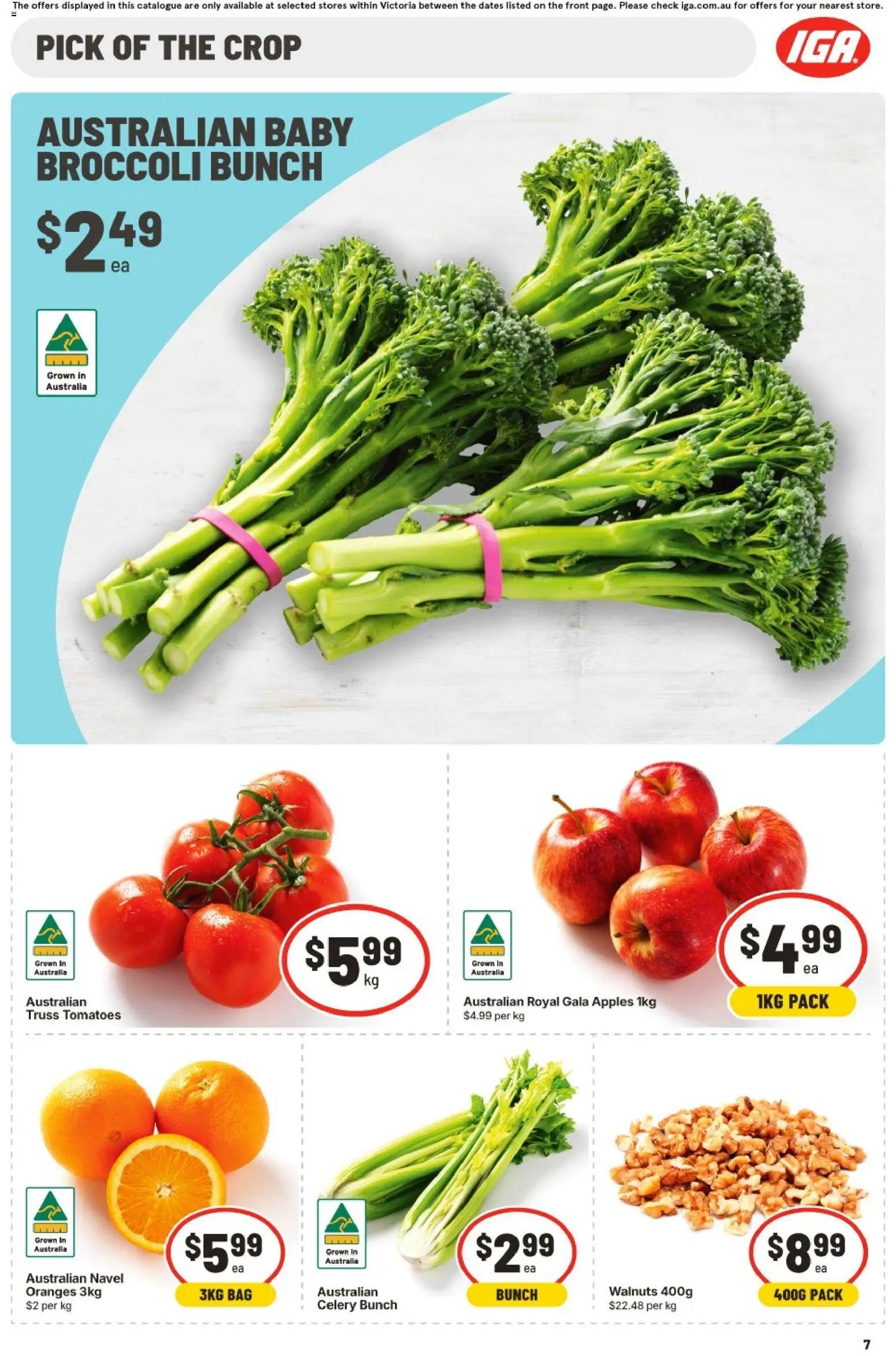 IGA catalogue VIC
