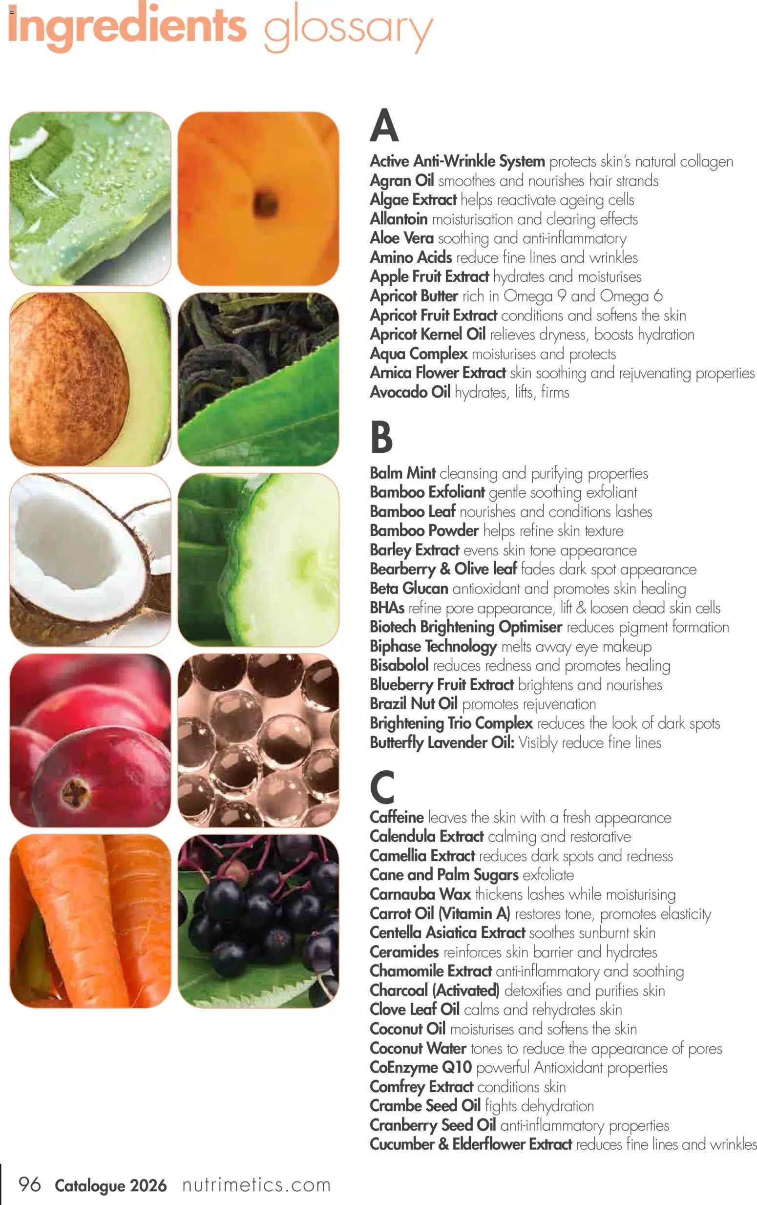 Nutrimetics Catalogue 2026 (2026-01-01 - 2026-12-31) | 96