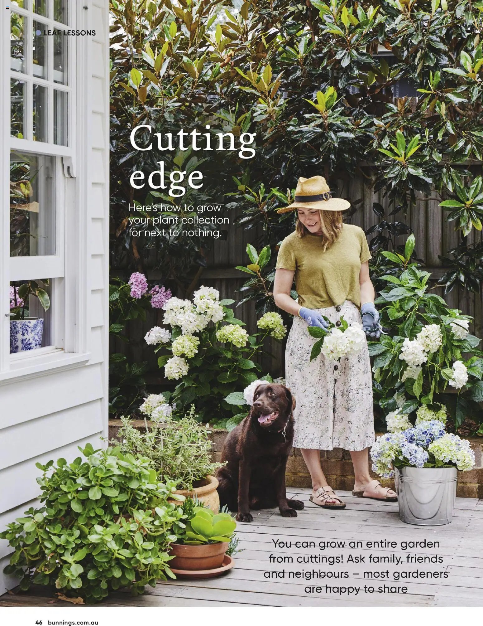 Bunnings Warehouse - Bunnings Magazine May/June 2026 (2026-05-01 - 2026-06-30) | 46