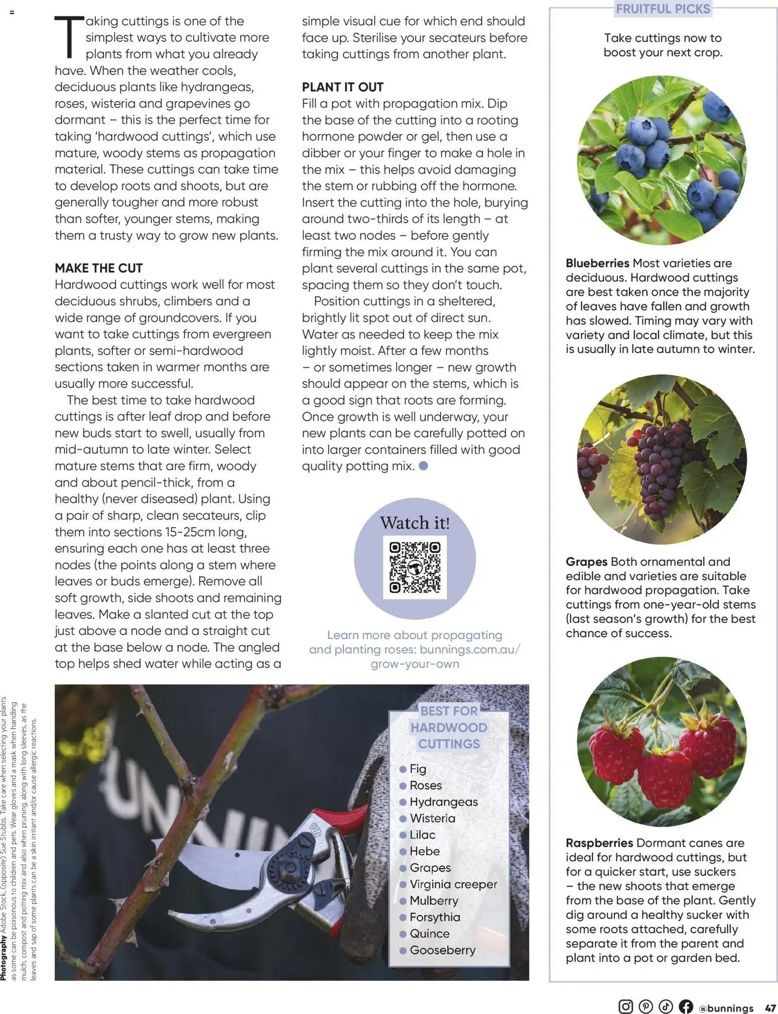Bunnings Warehouse - Bunnings Magazine May/June 2026 (2026-05-01 - 2026-06-30) | 47