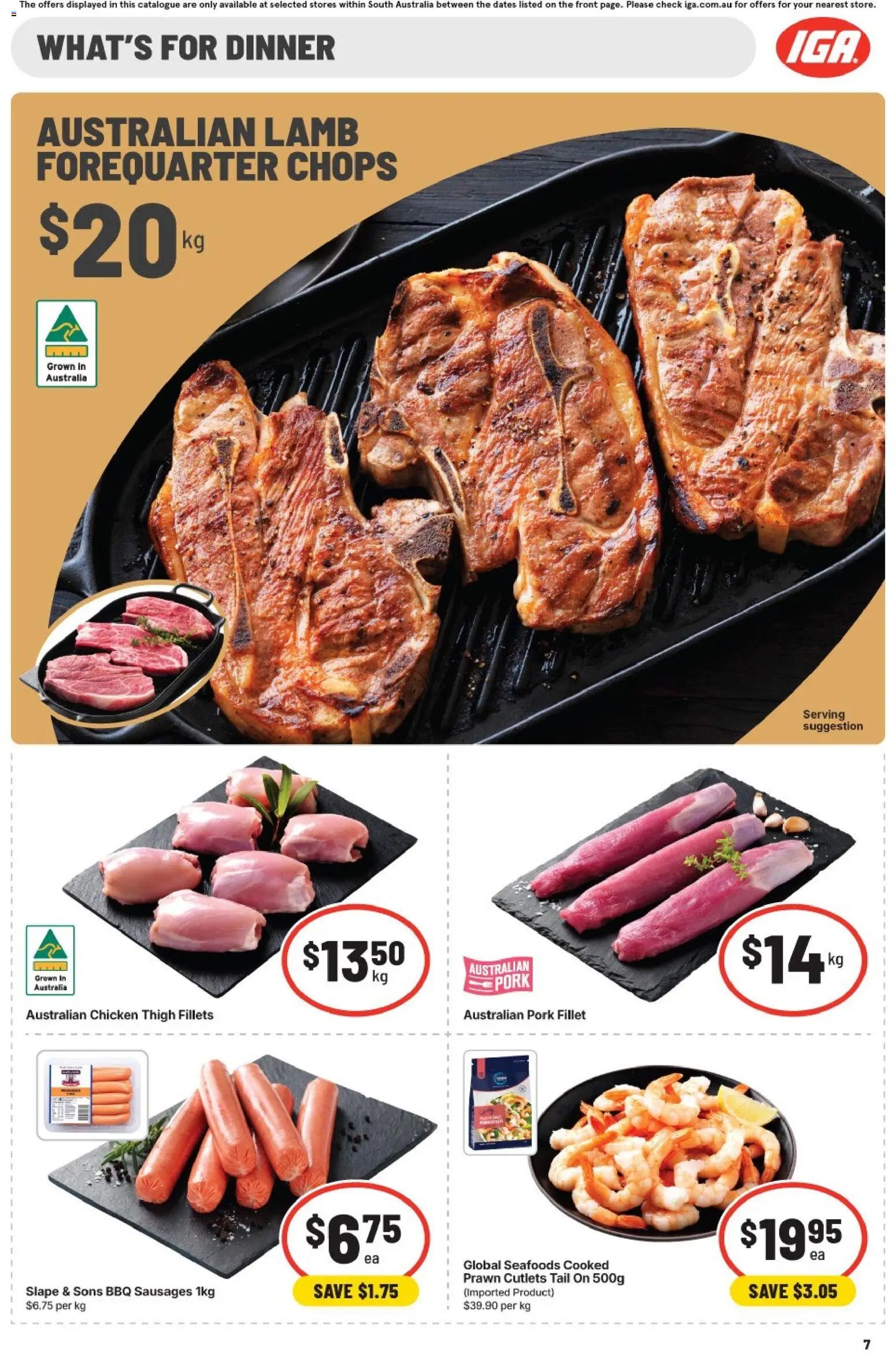 IGA catalogue SA