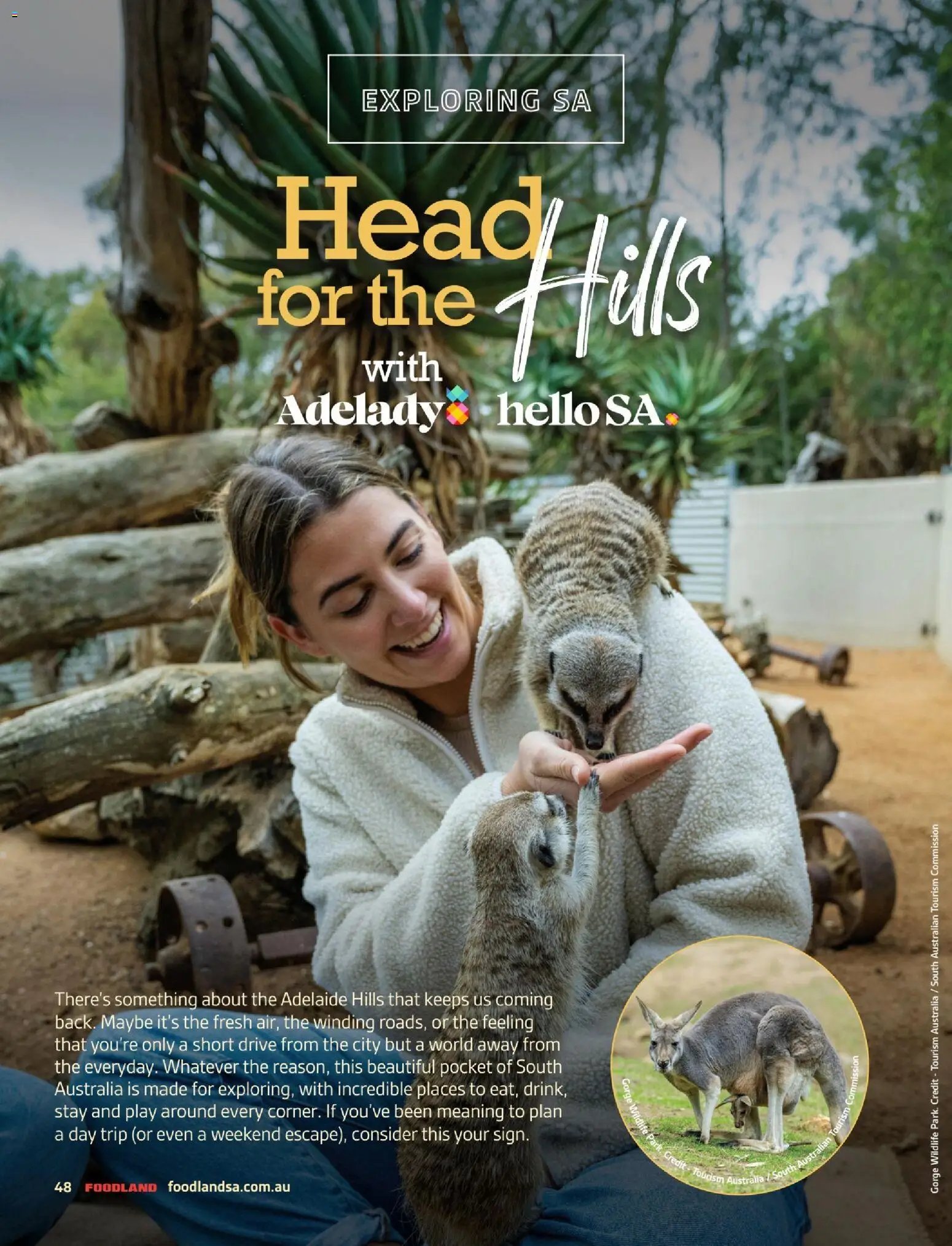 Foodland Mighty Magazine - Autumn 2026  (2026-03-06 - 2026-06-05) | 48