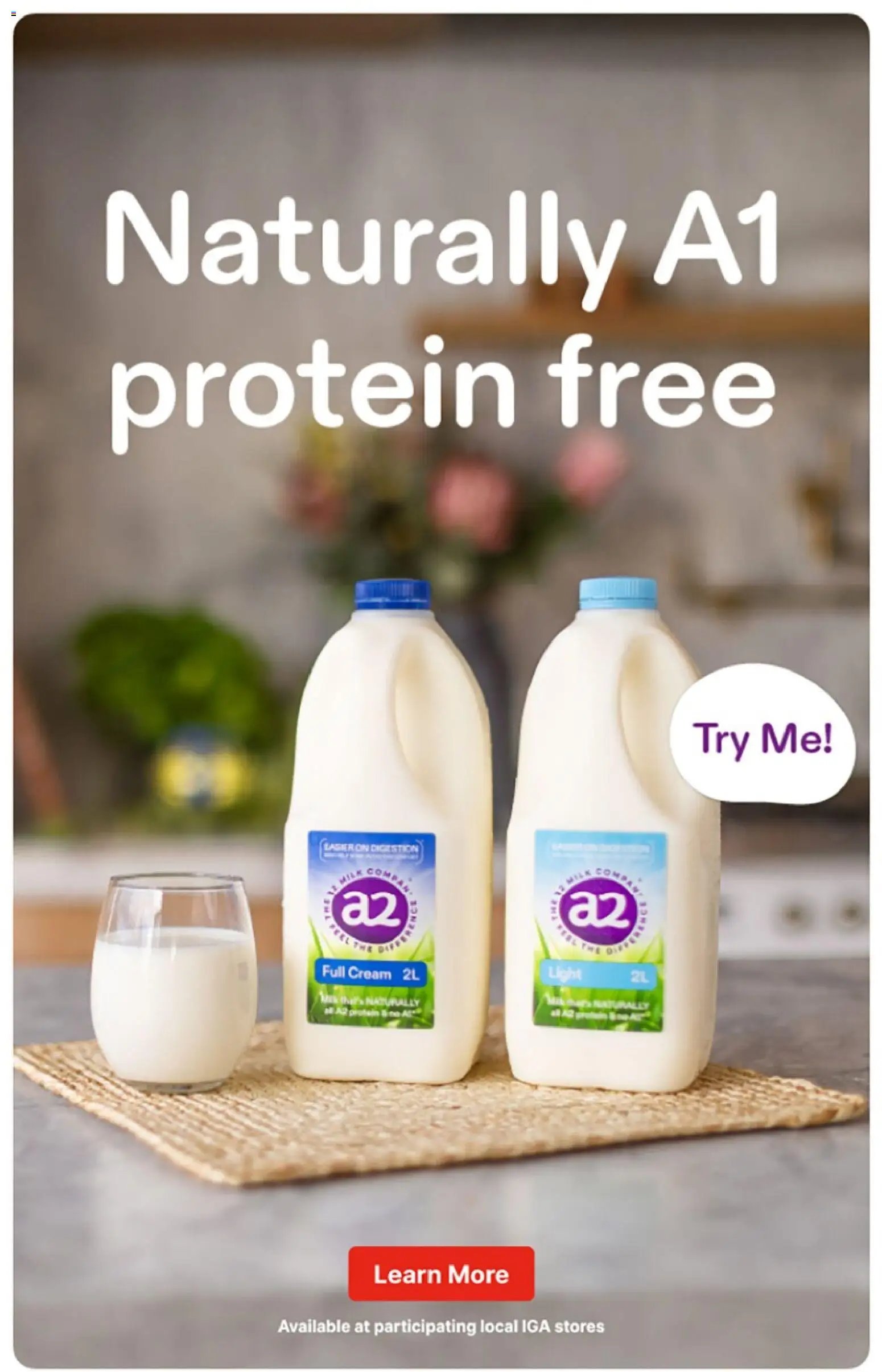 IGA catalogue NSW
