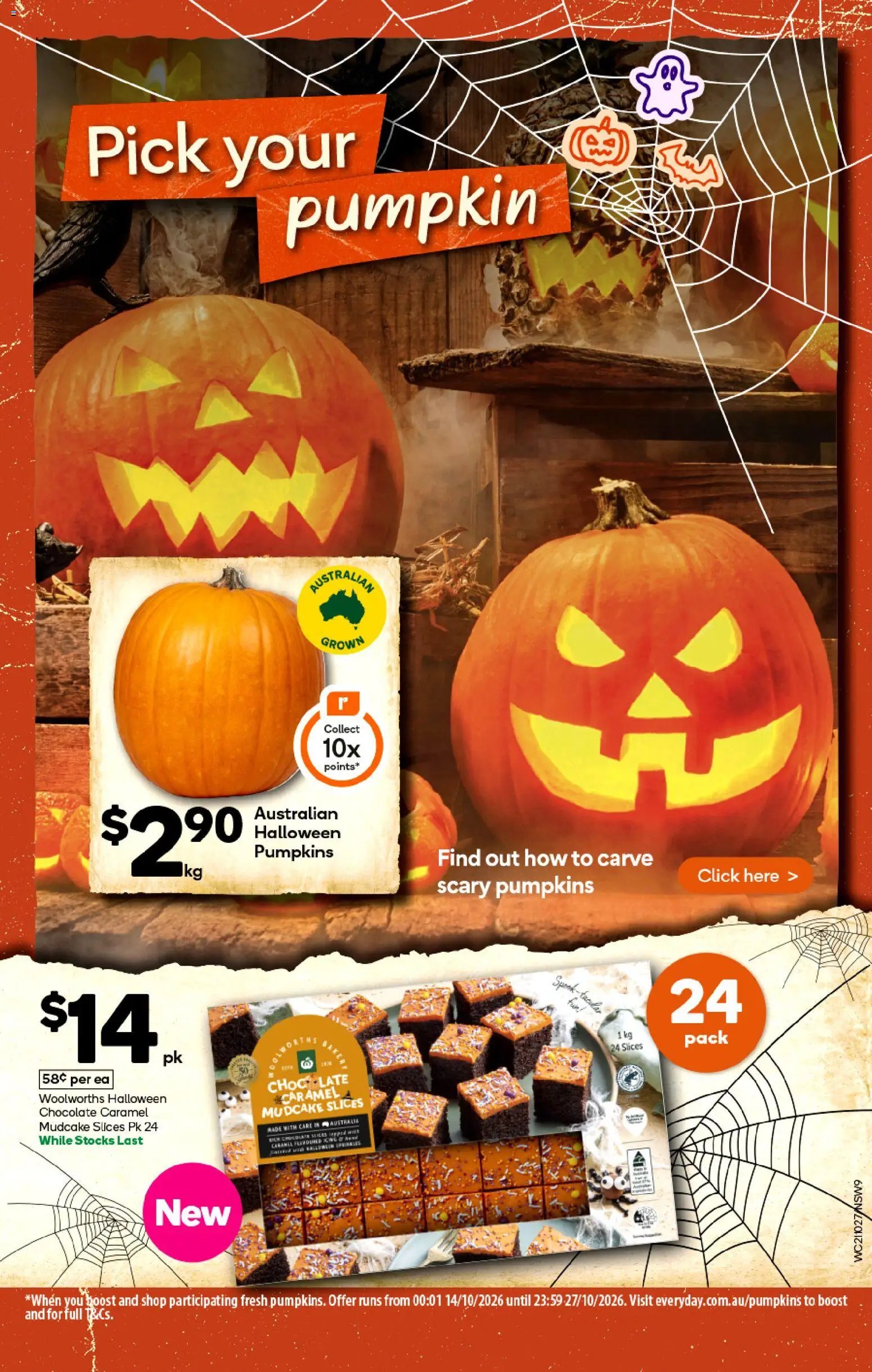 Woolworths catalogue