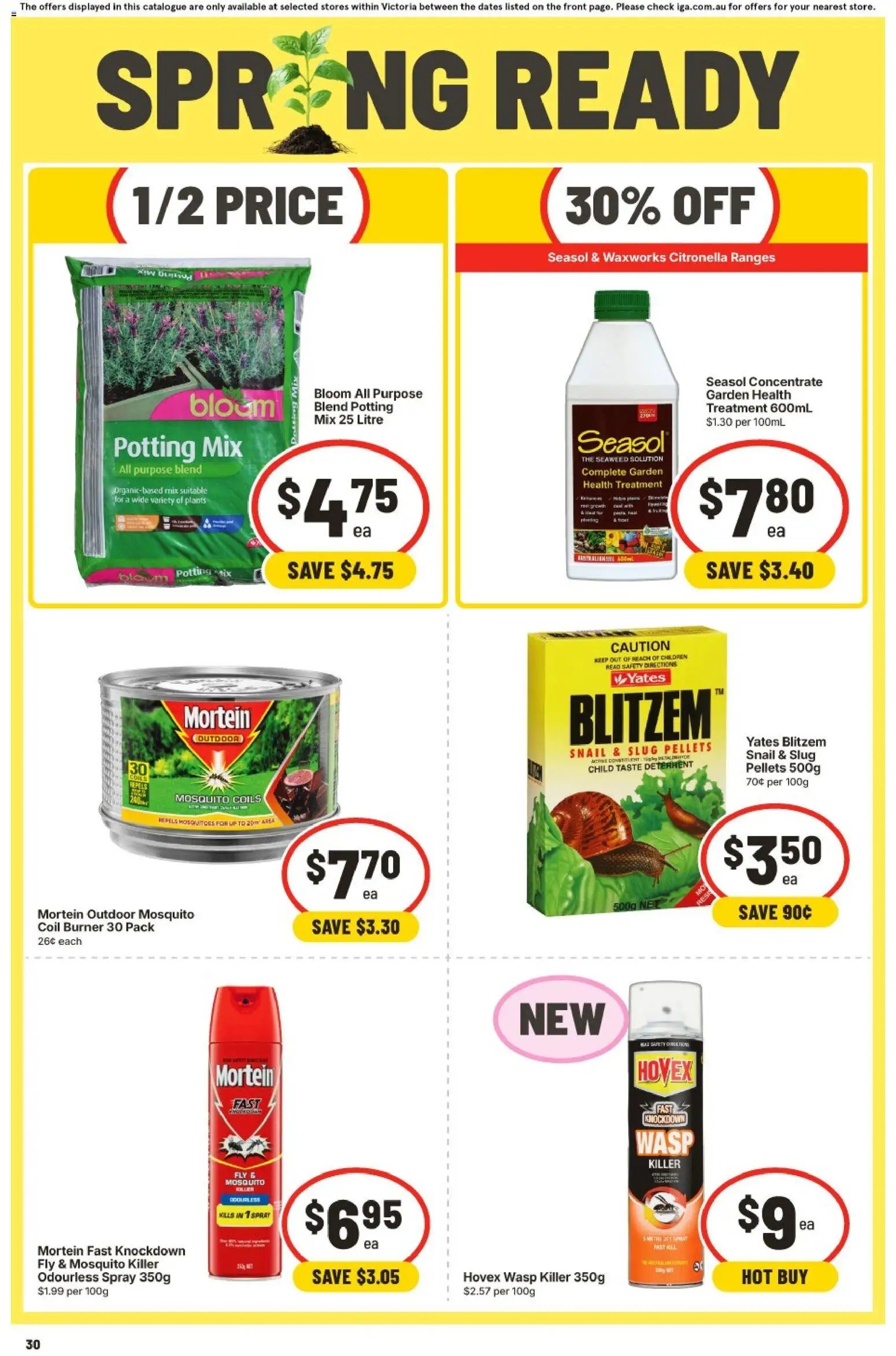 IGA catalogue