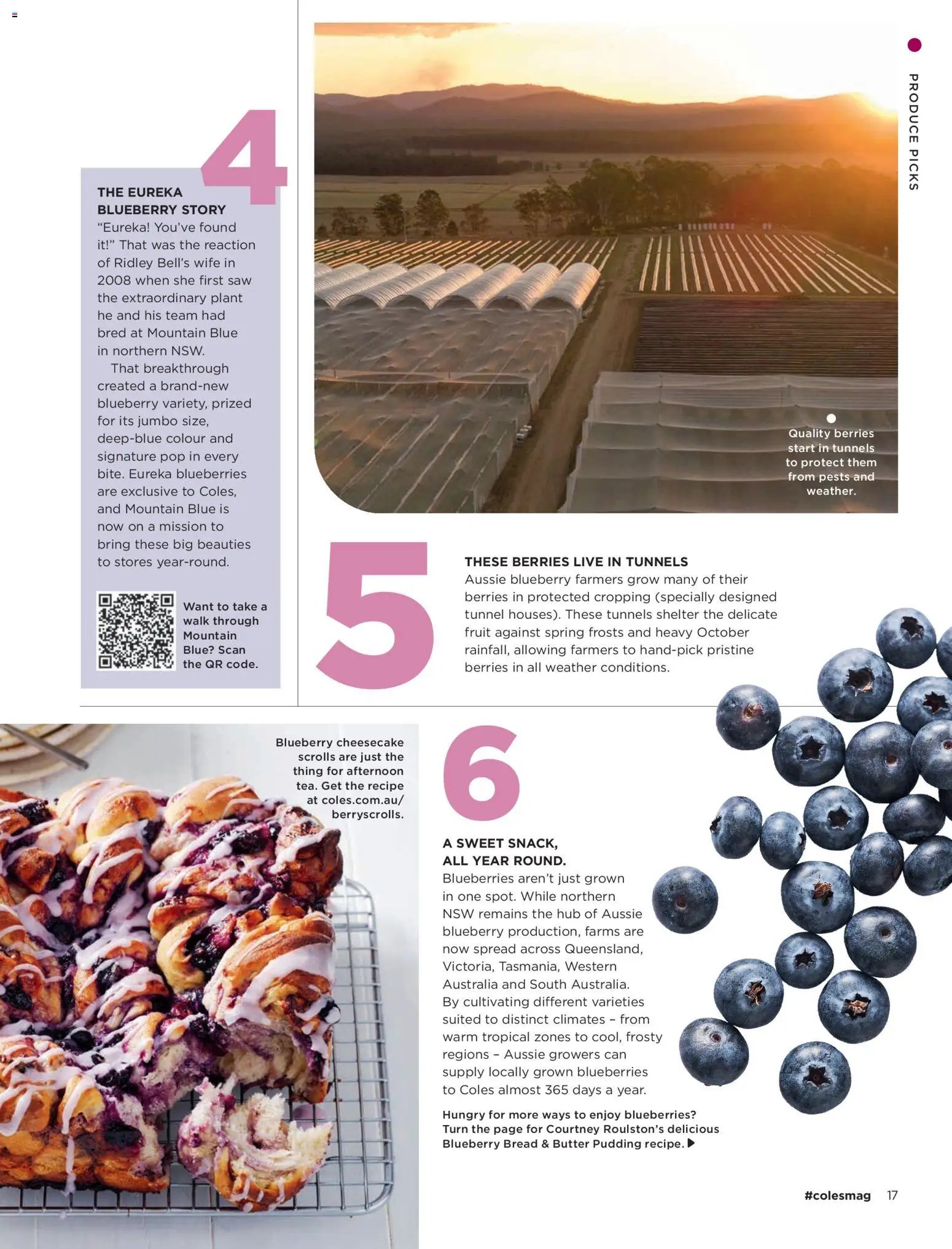 Coles catalogue October 2026