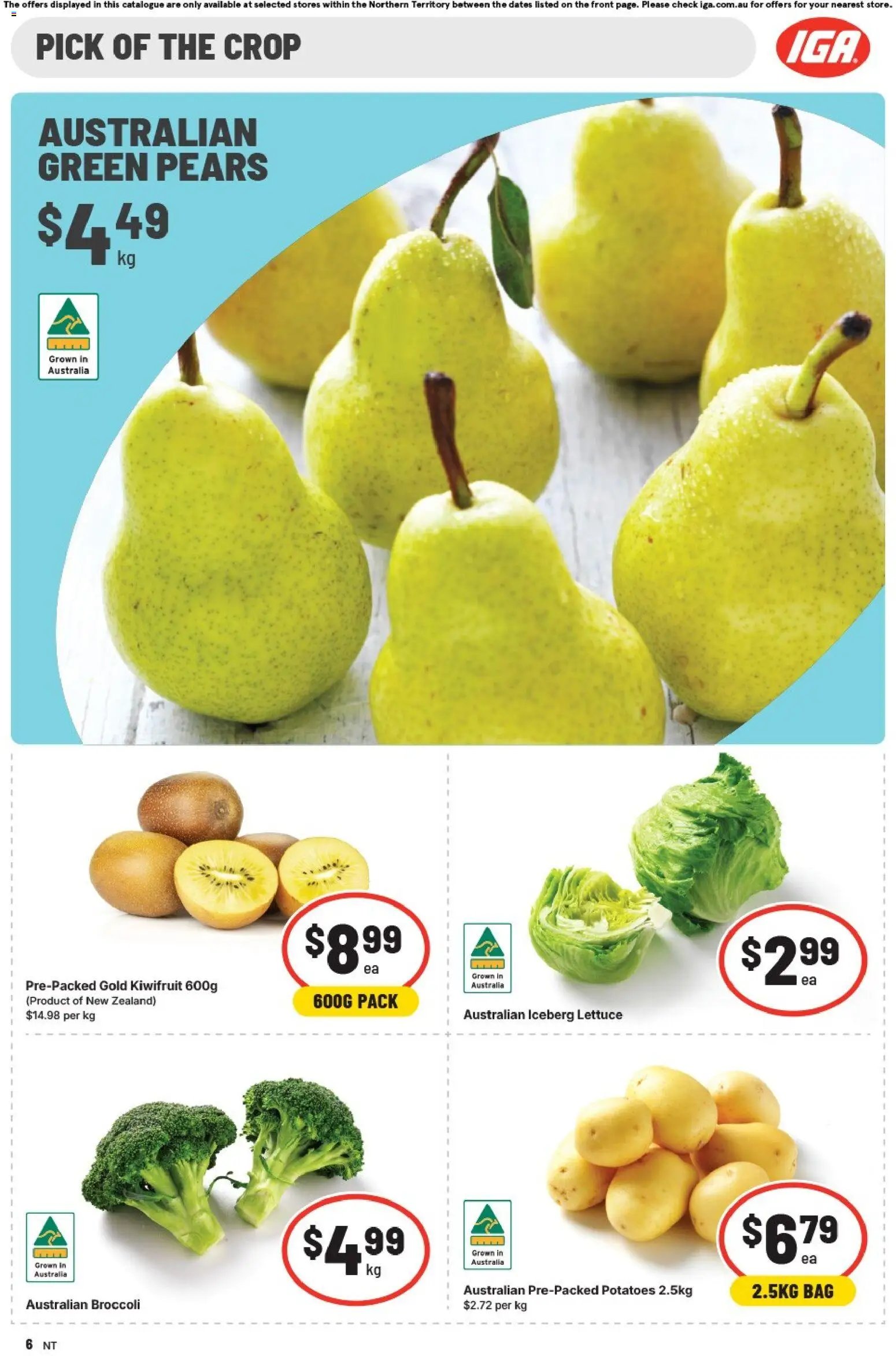IGA catalogue NT