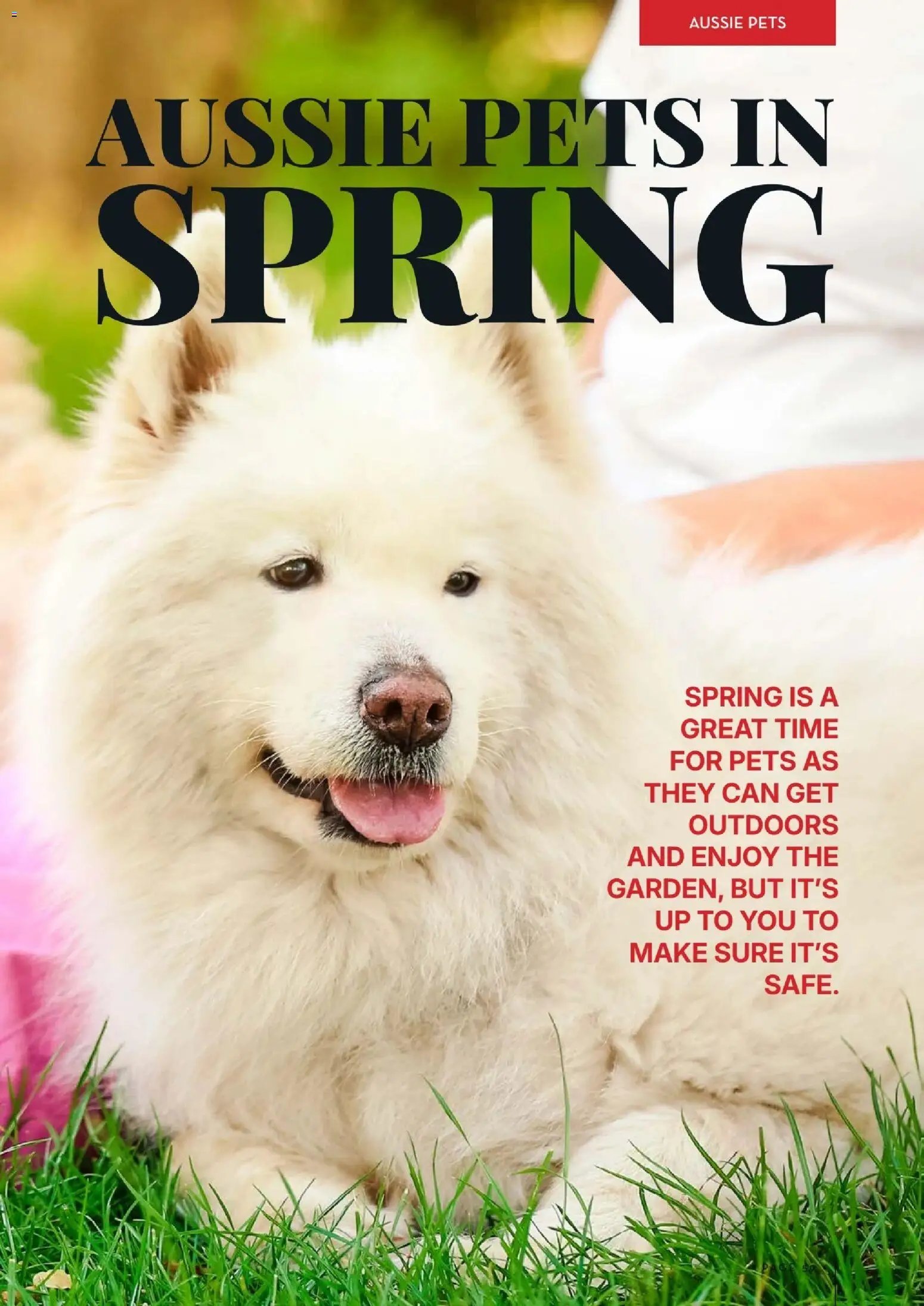 Foodworks Magazine