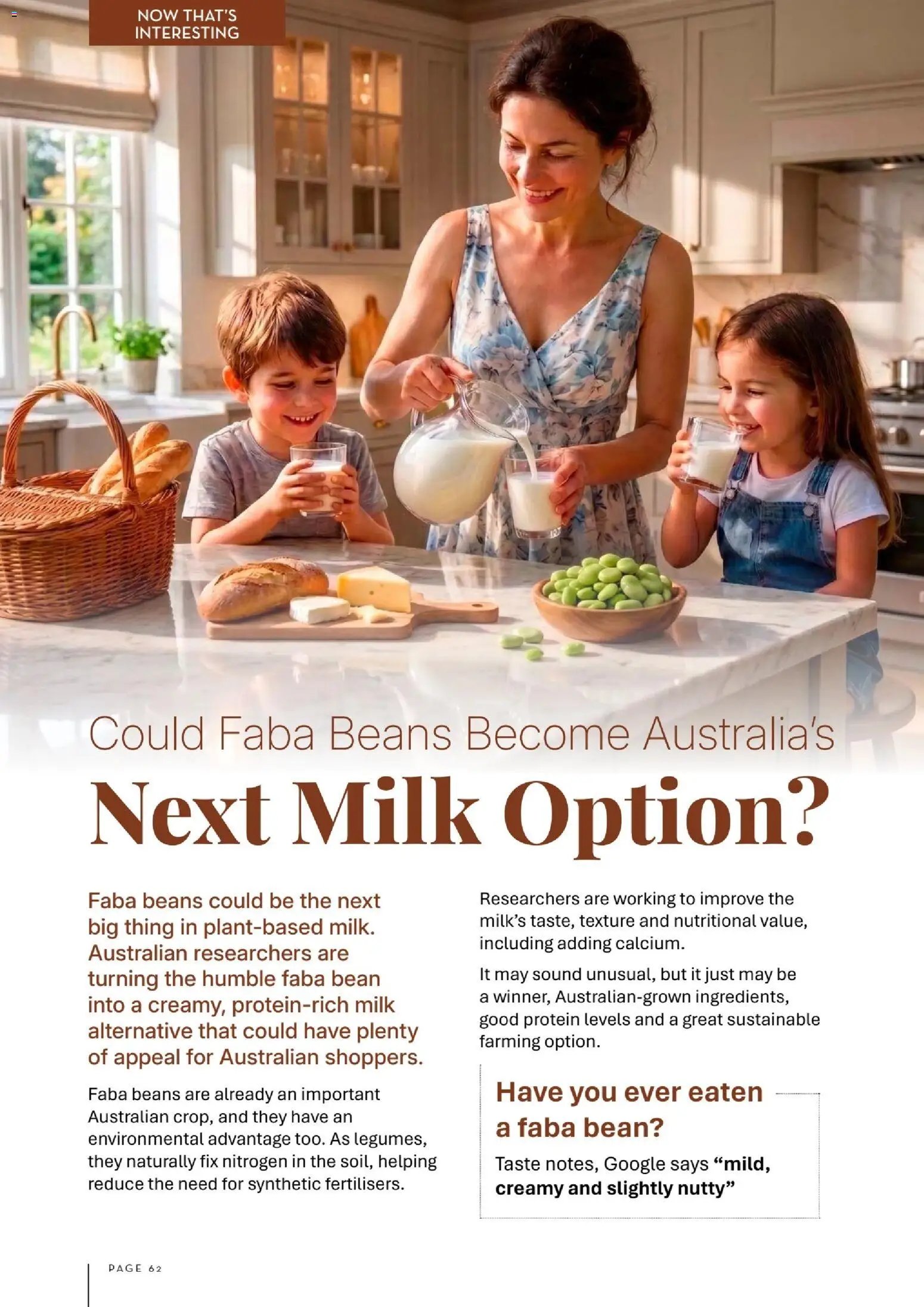 Foodworks Magazine