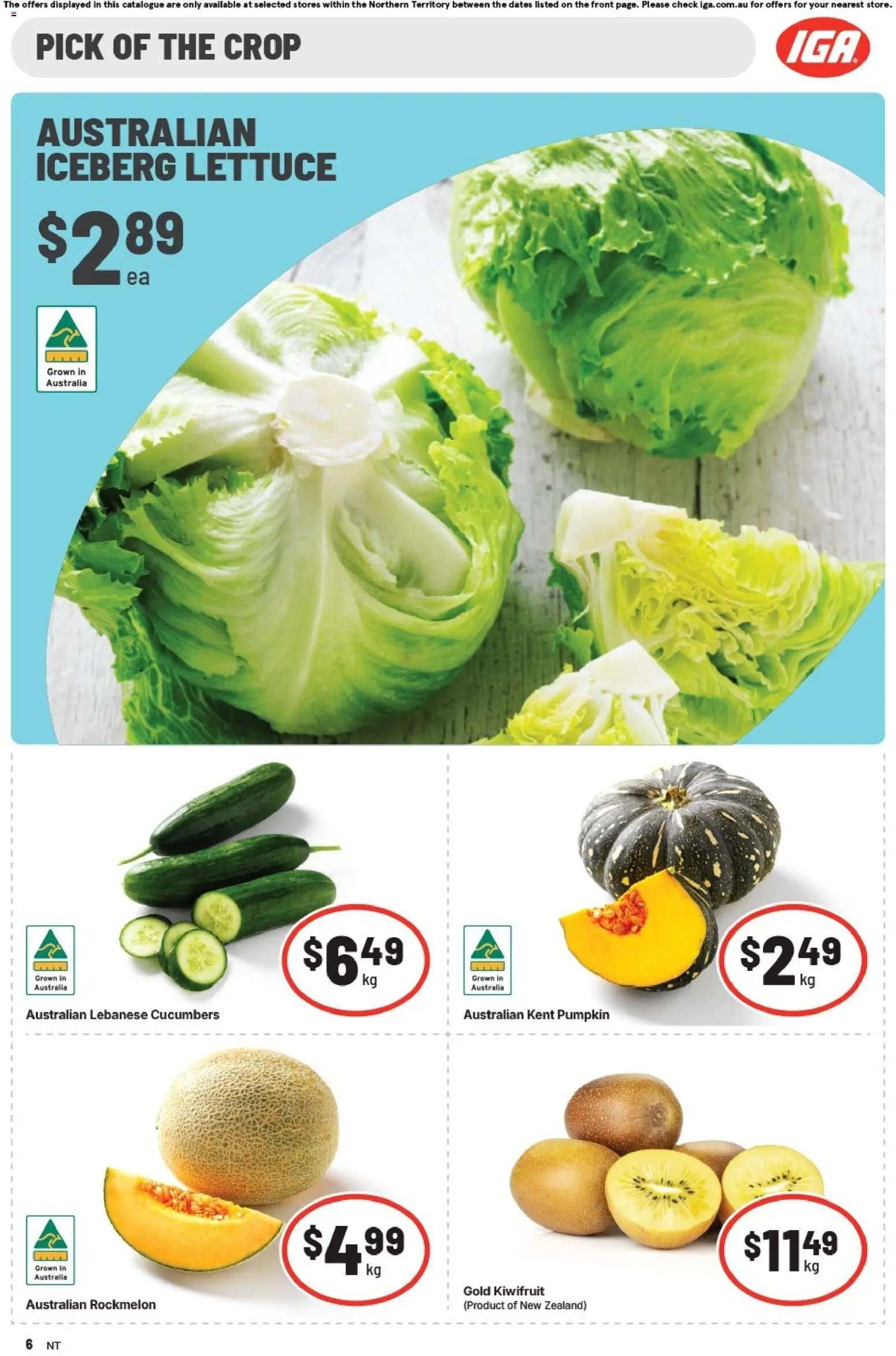 IGA catalogue NT