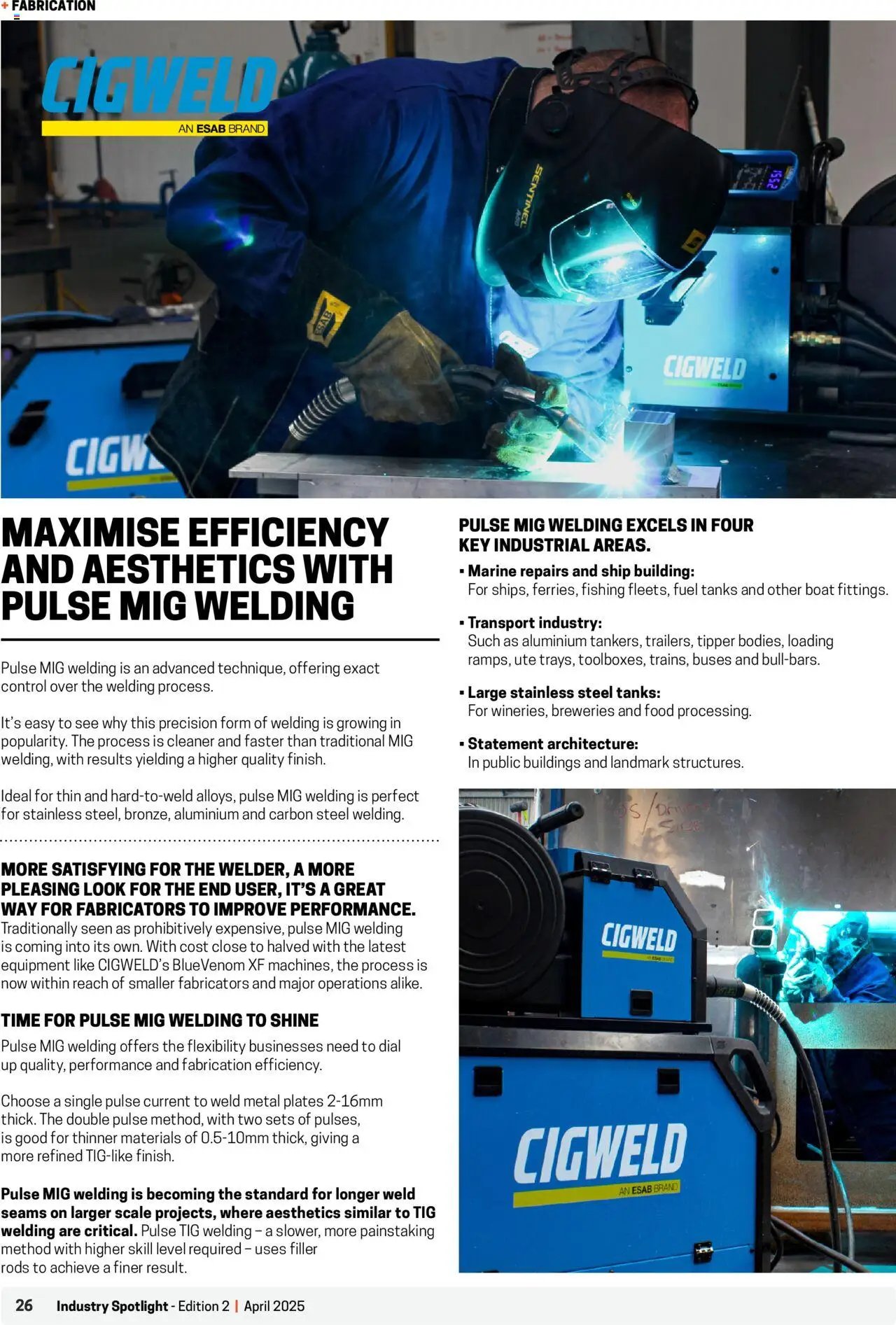 Black Woods Industry Spotlight (2025-04-08 - 2026-04-08) | 26