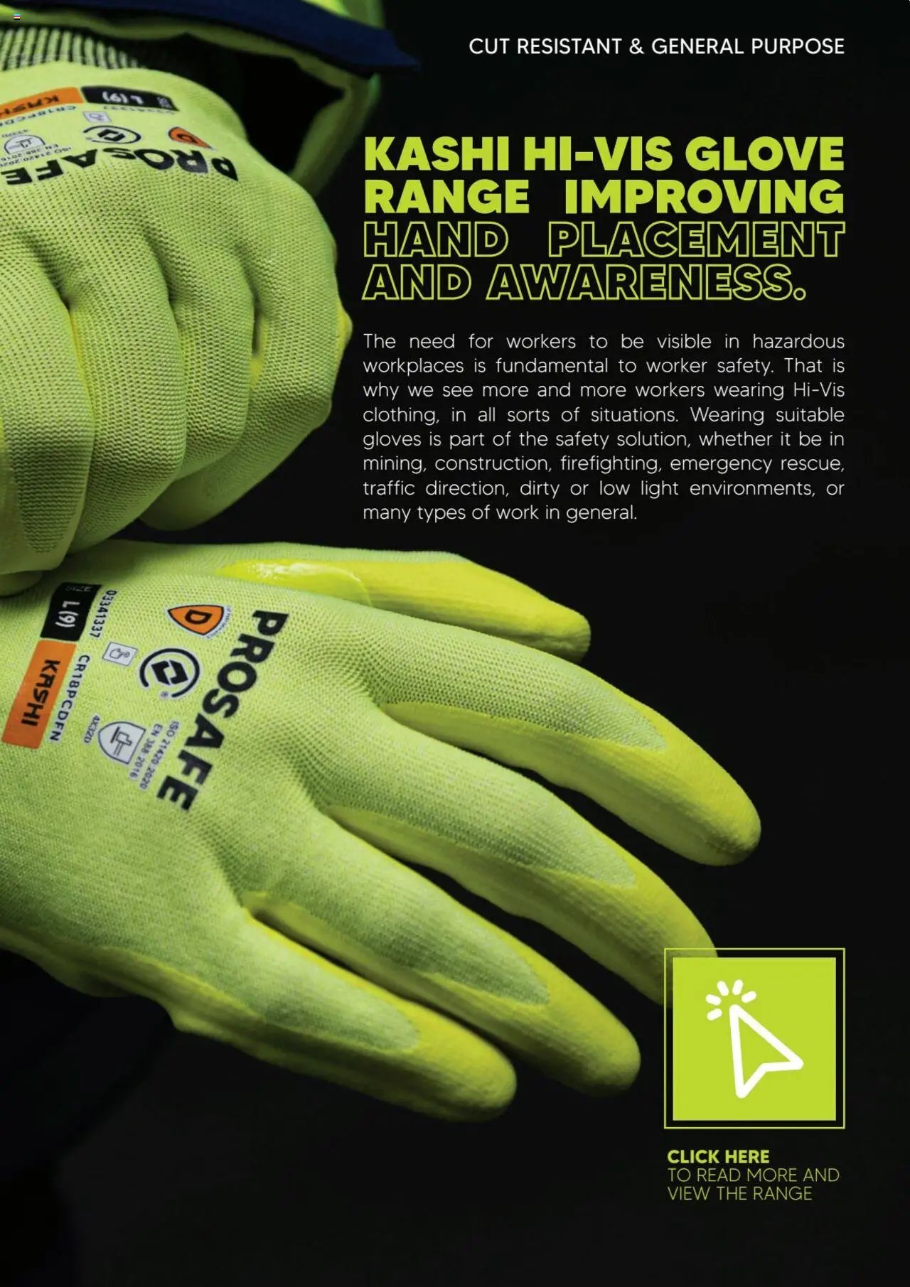 Black Woods Prosafe  (2023-10-06 - 2026-10-06) | 53