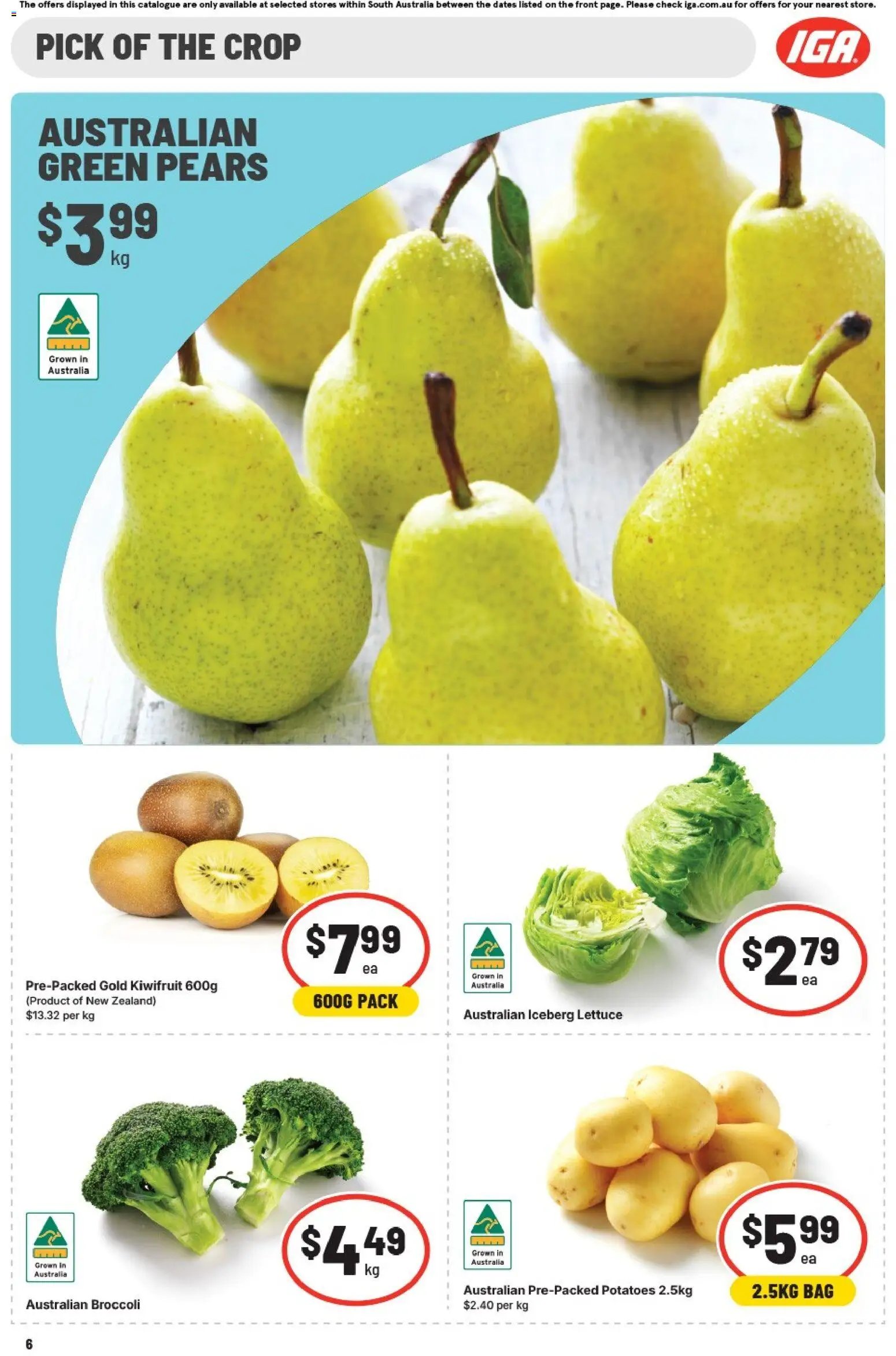 IGA catalogue SA