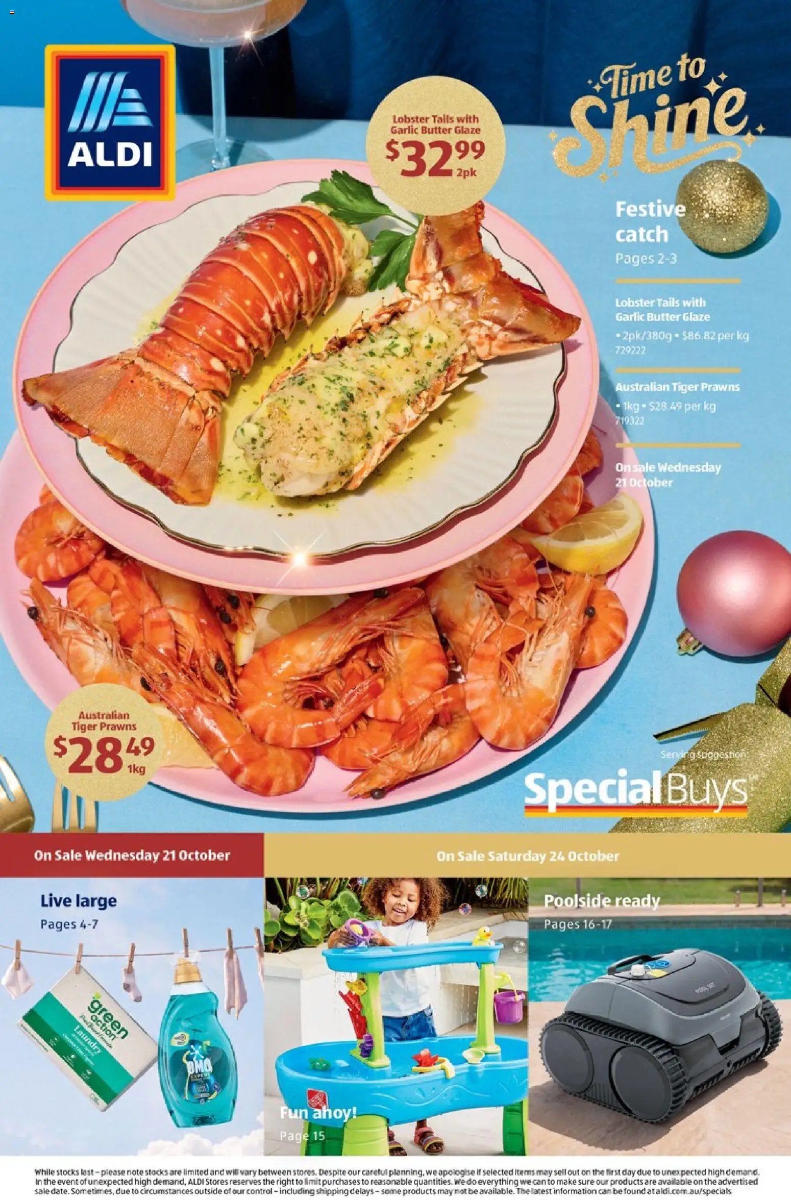 Aldi catalogue