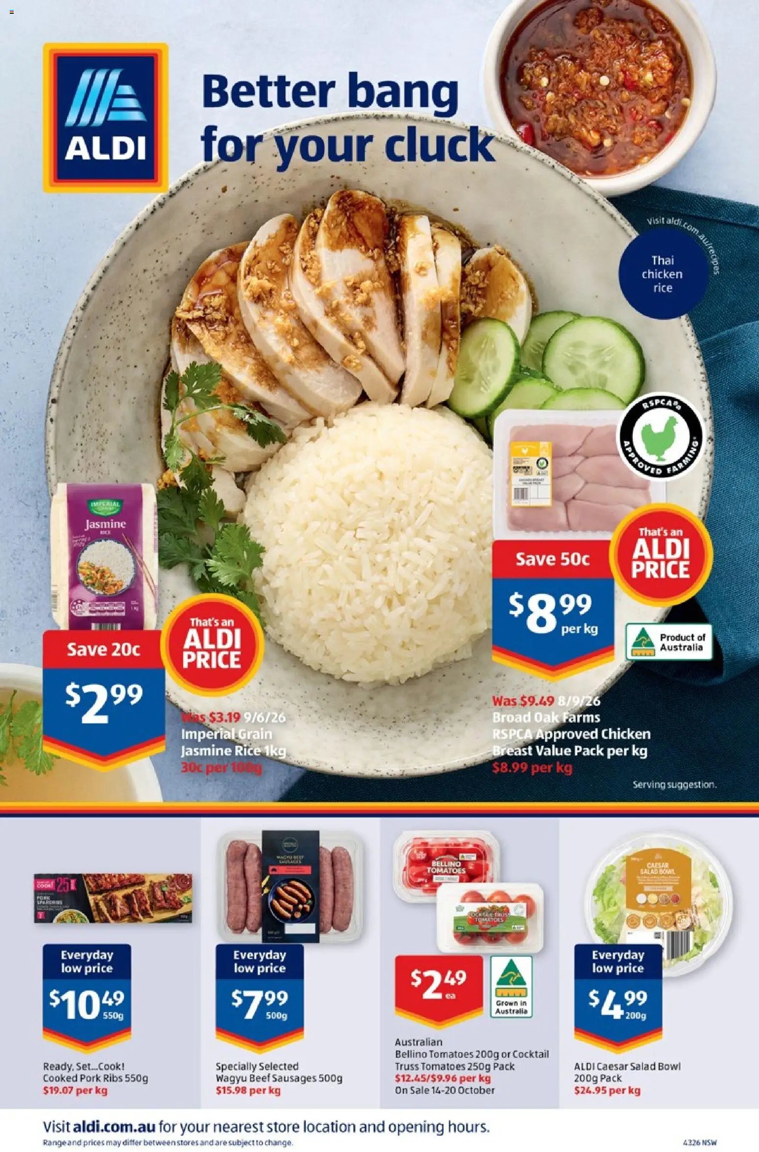 Aldi catalogue