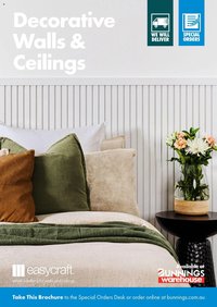 Bunnings Warehouse Easycraft Walls & Ceilings (2024-10-28 - 2026-10-28)