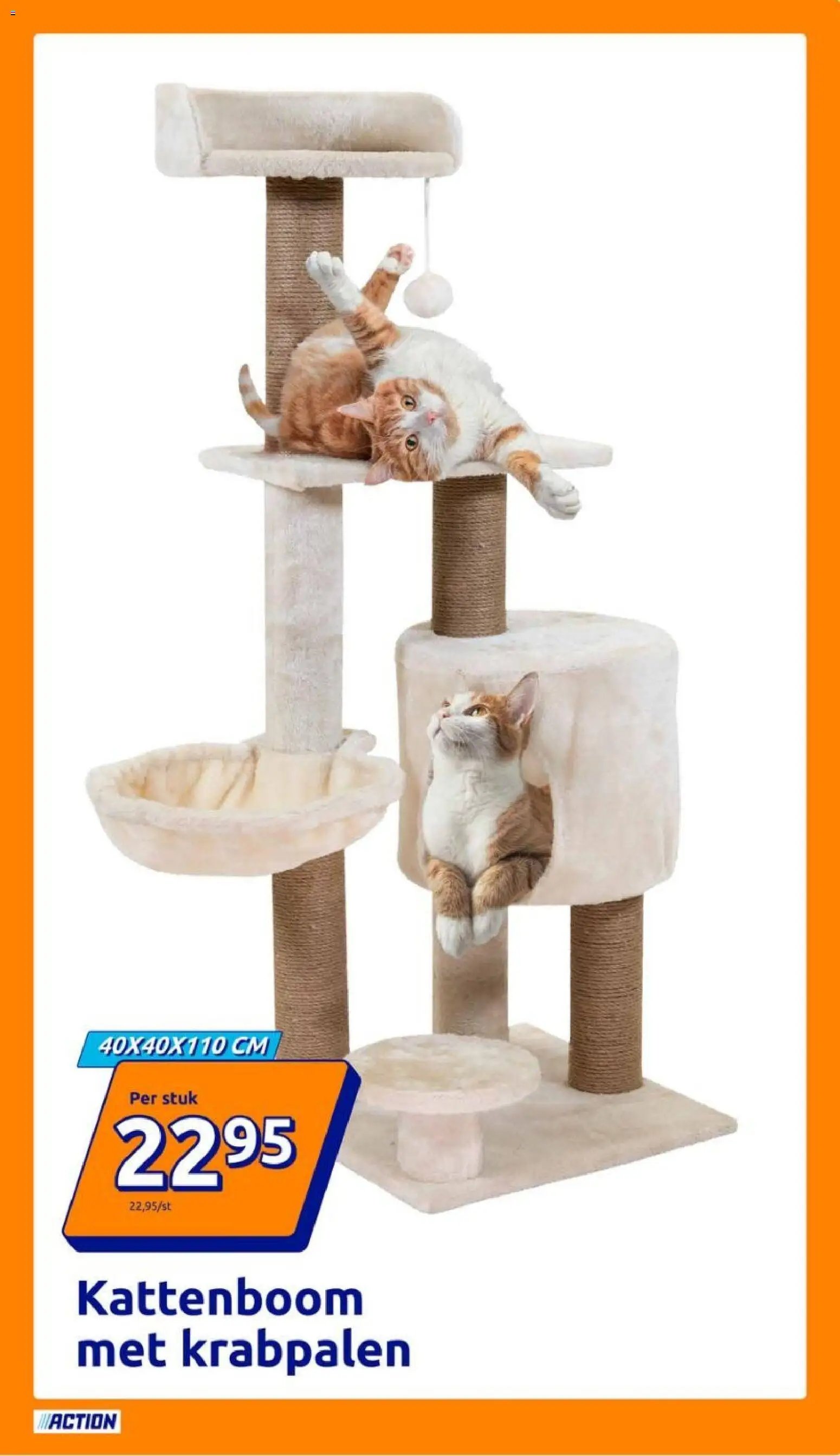 Action folder week 46