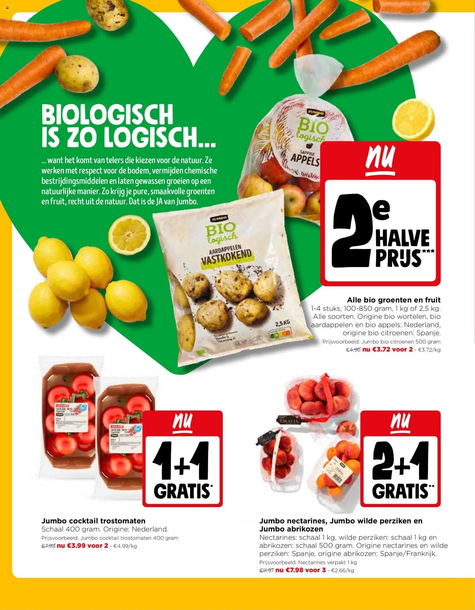 JUMBO folder / publicité