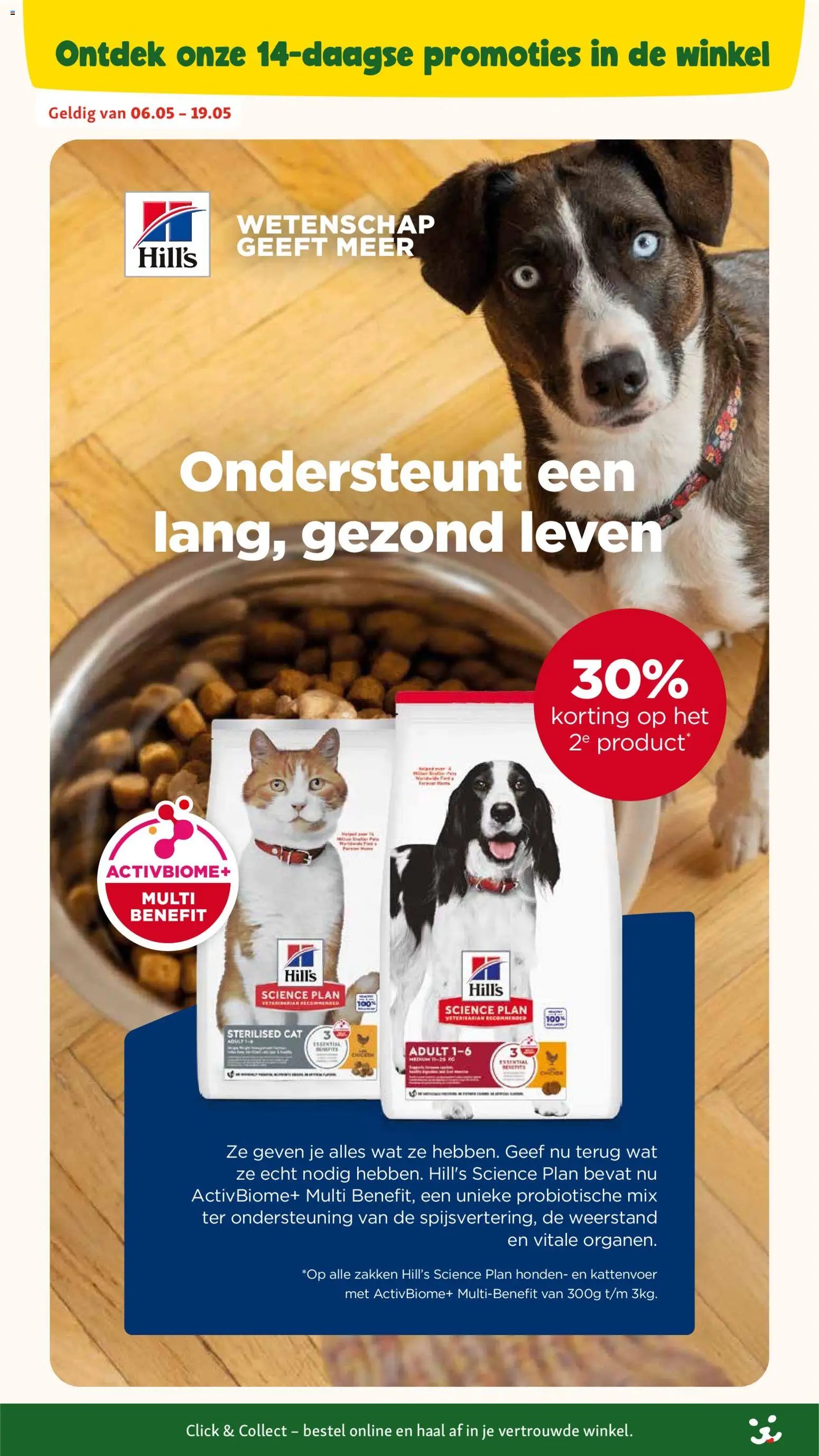 Maxi Zoo folder