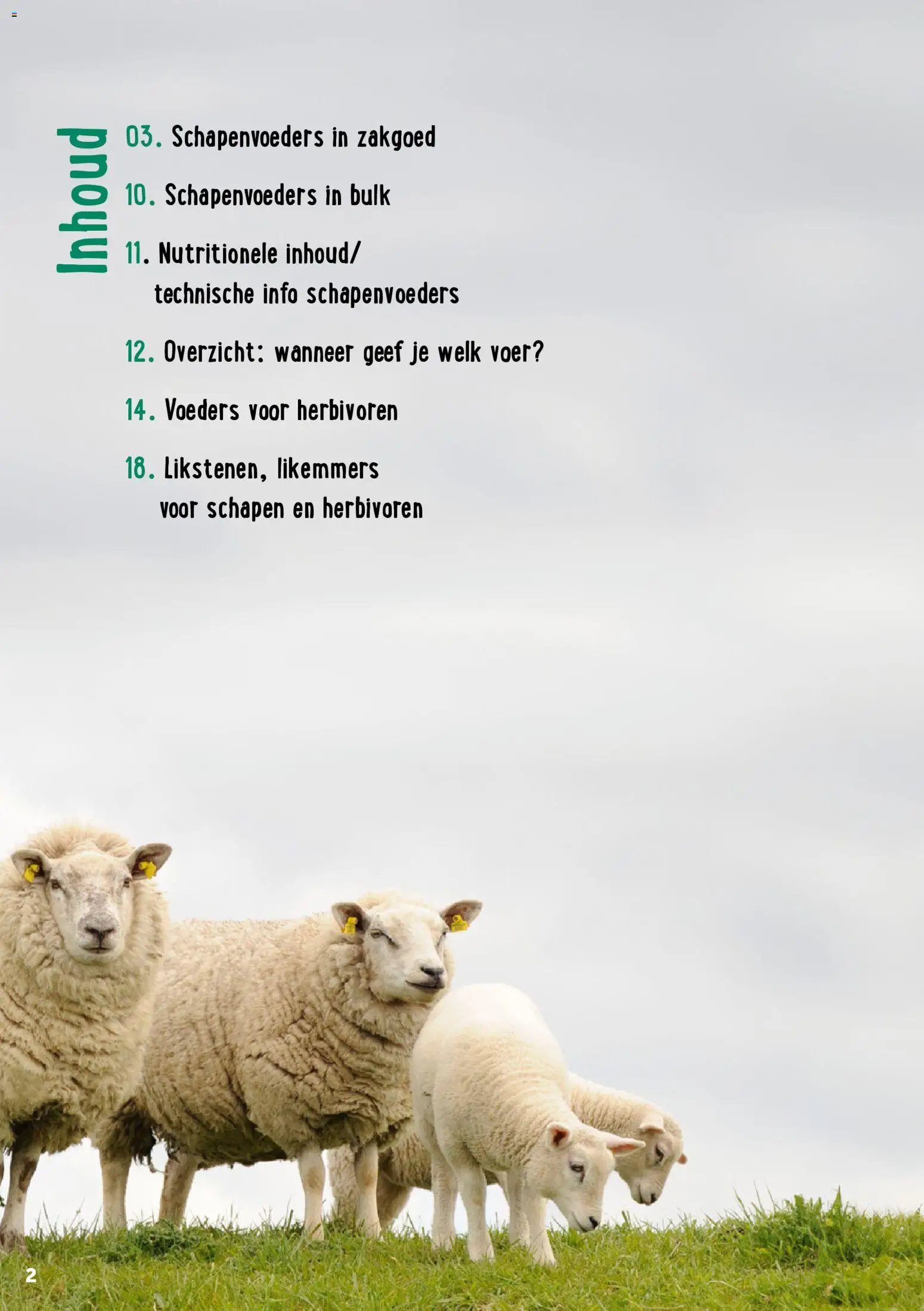 Aveve Gids kleine herkauwers