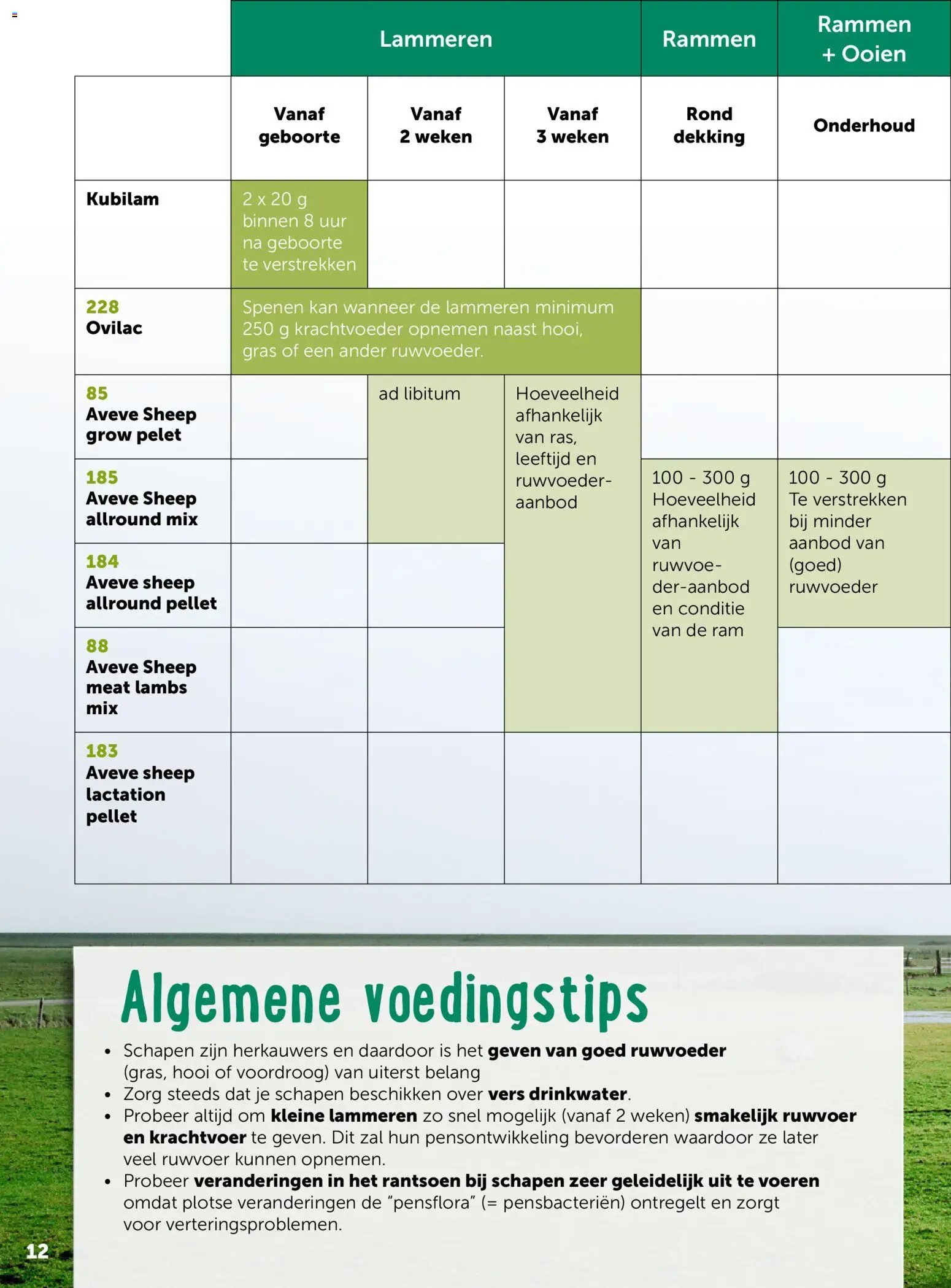 Aveve Gids kleine herkauwers