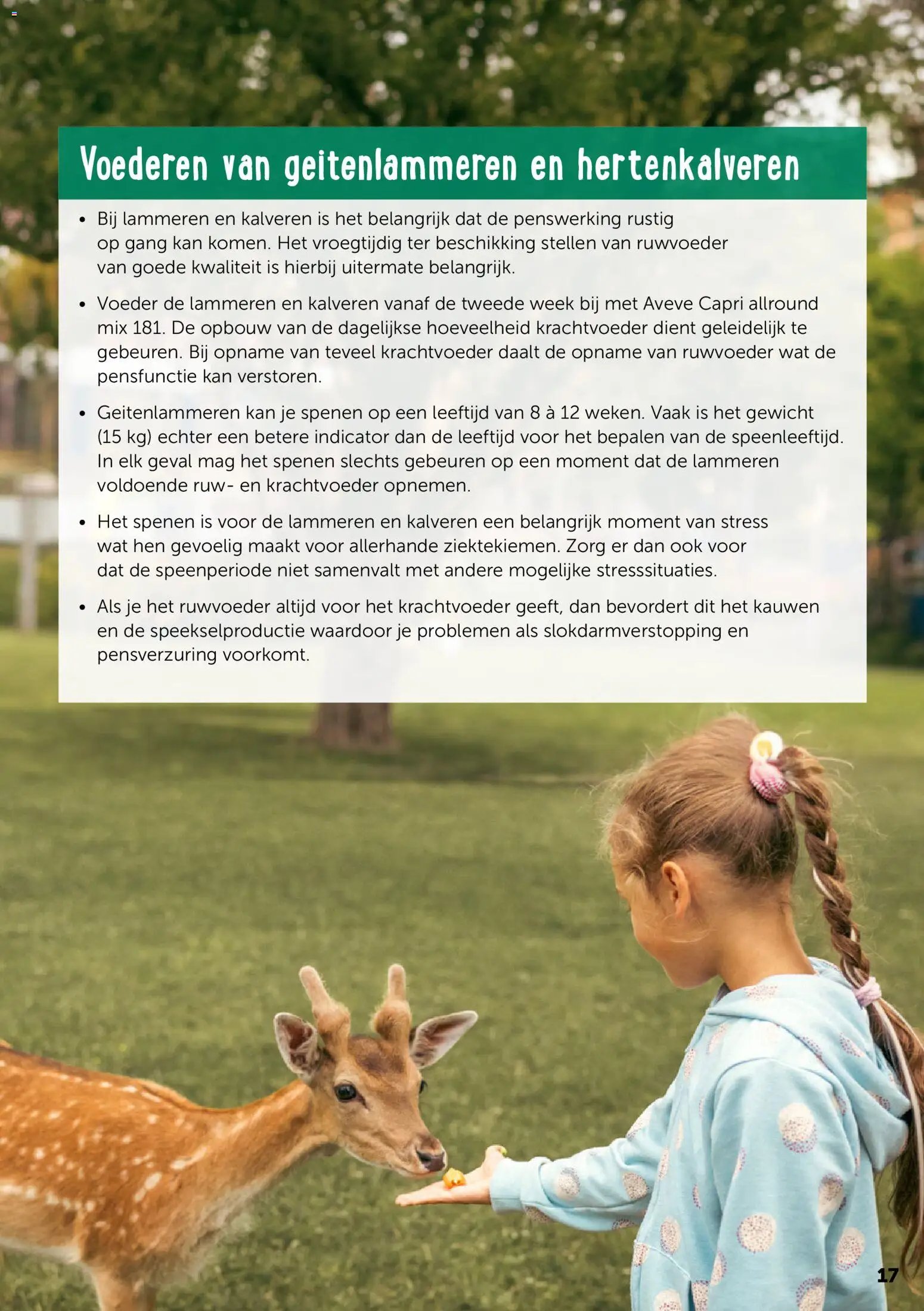 Aveve Gids kleine herkauwers