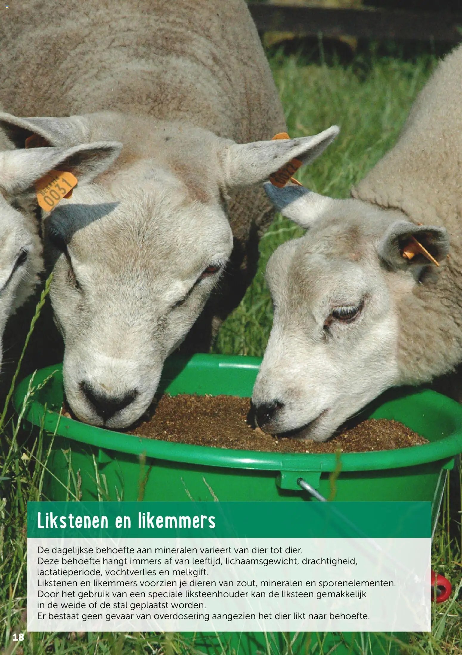Aveve Gids kleine herkauwers
