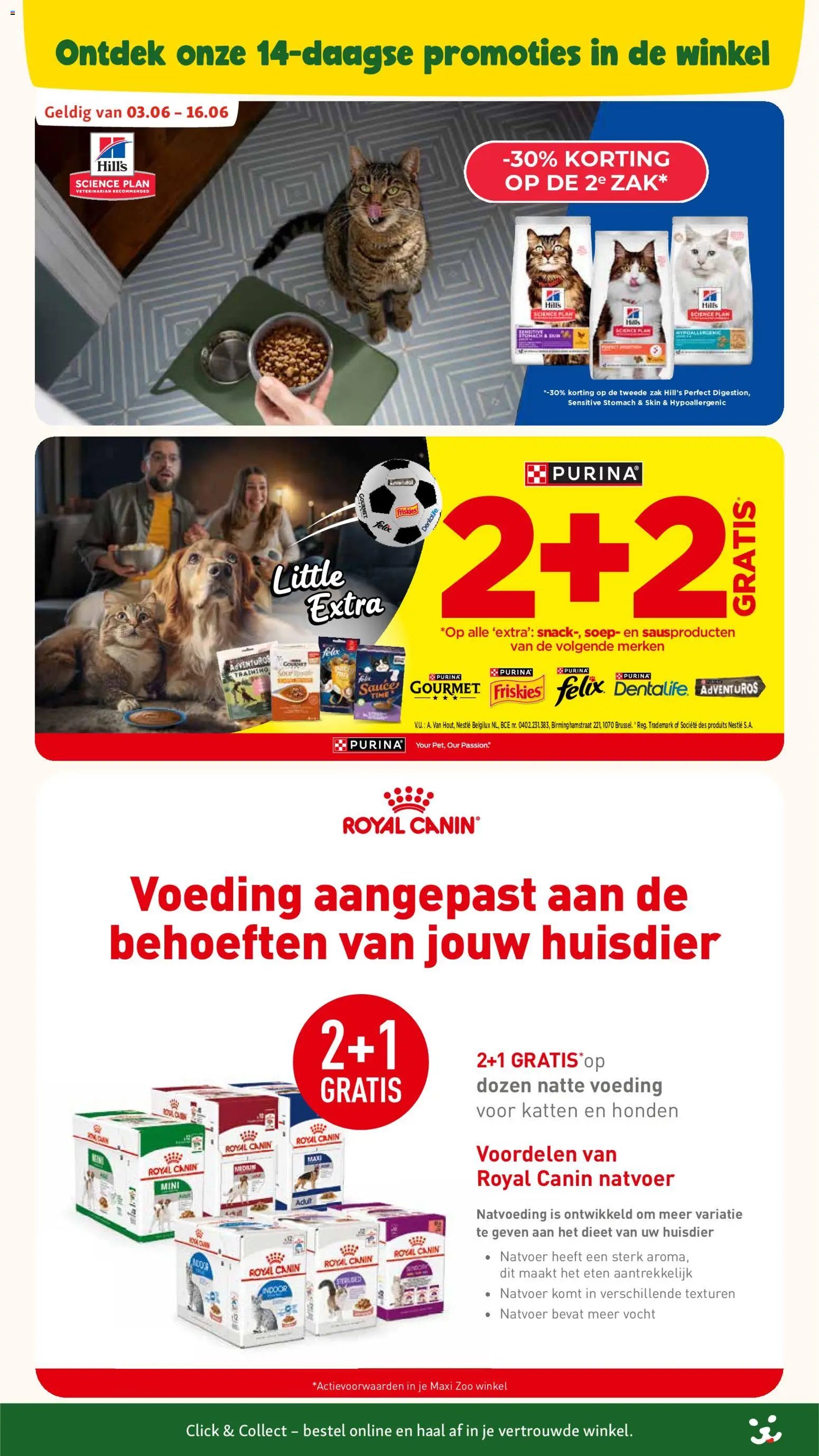 Maxi Zoo folder