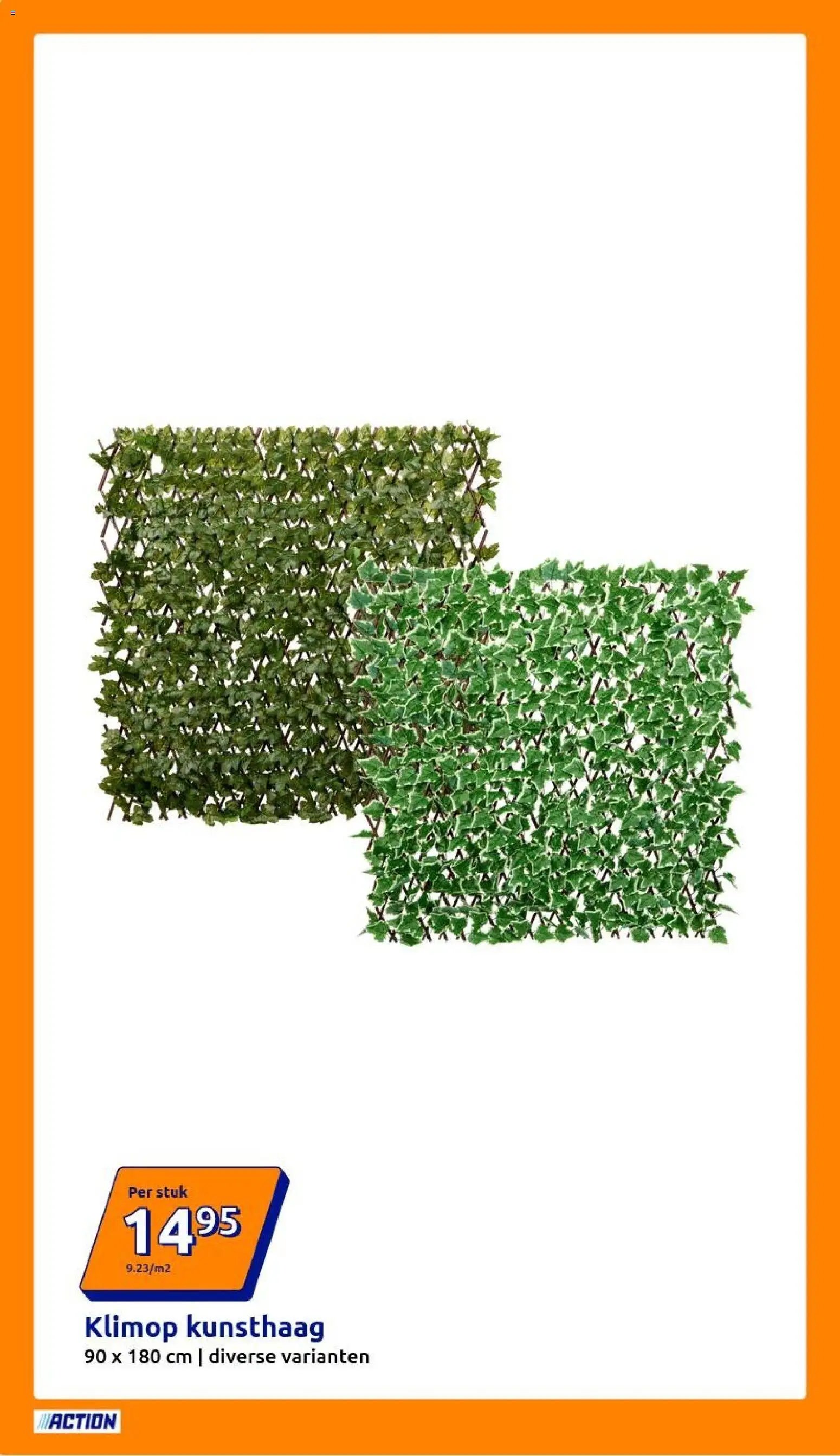 Action folder week 16