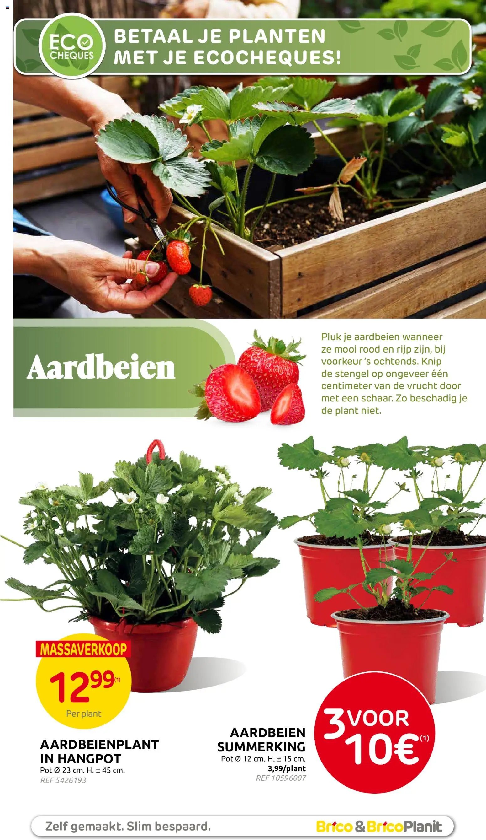 Brico Plan-it folder (2026-04-01 - 2026-05-31)