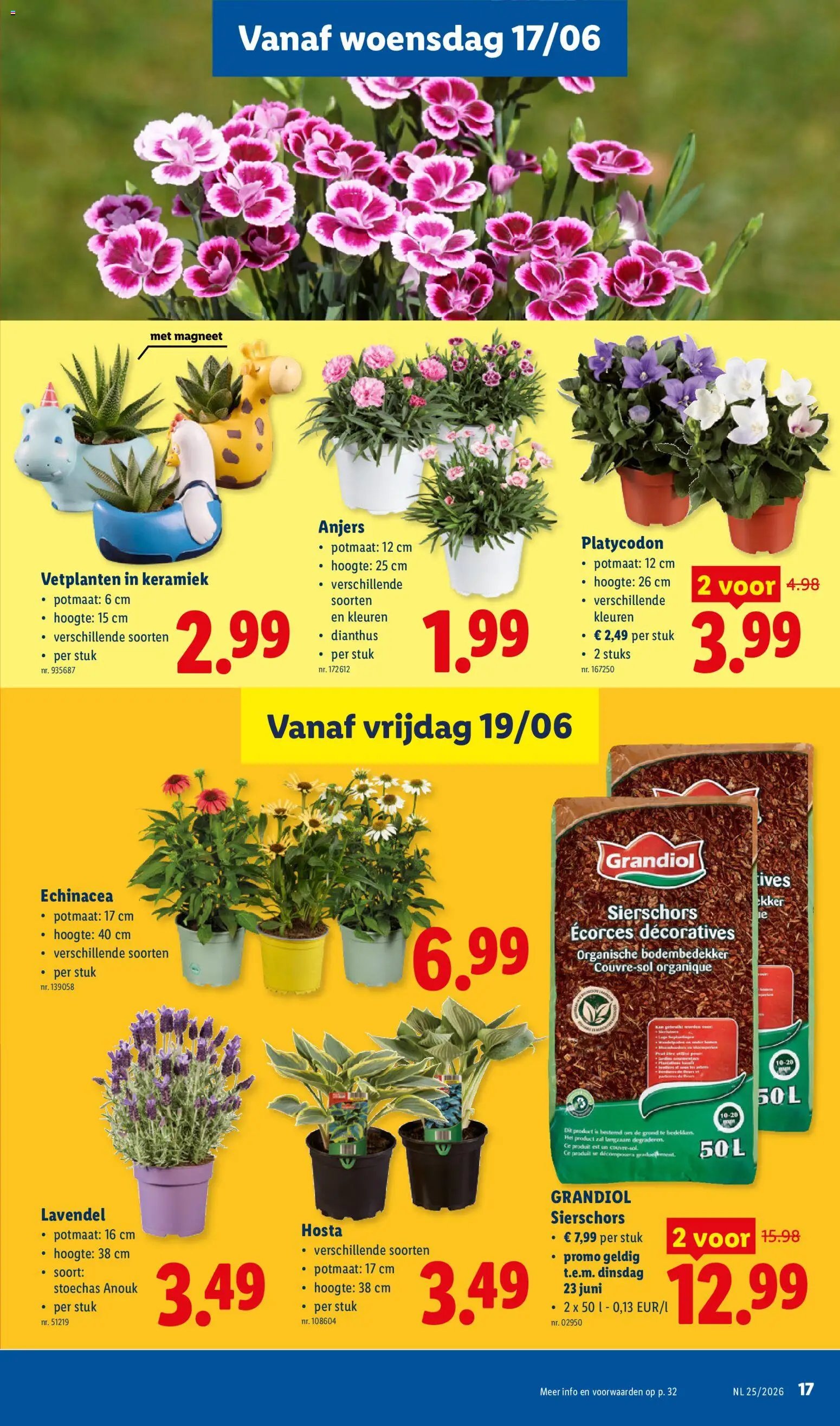 Lidl Folder week 25