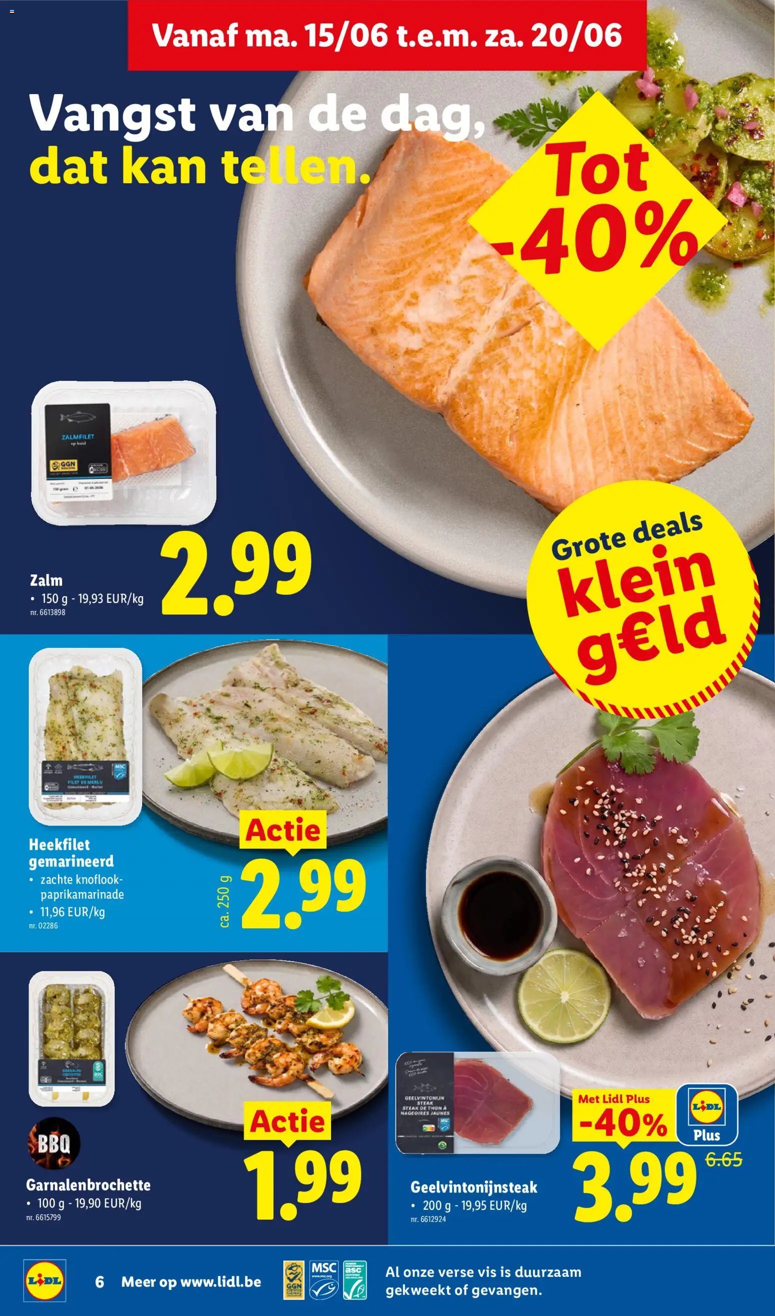 Lidl Folder week 25