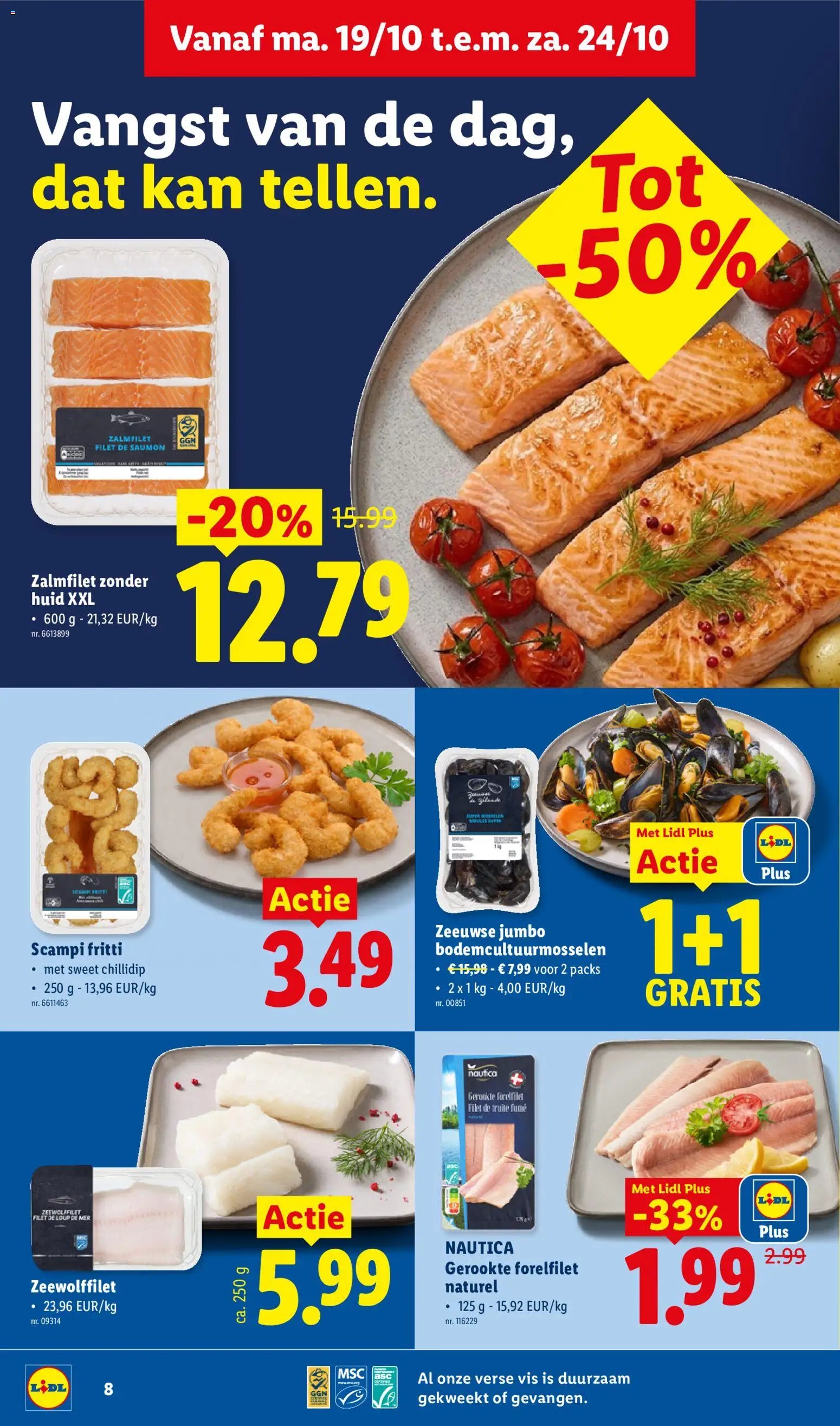 Lidl Folder week Folder week 43