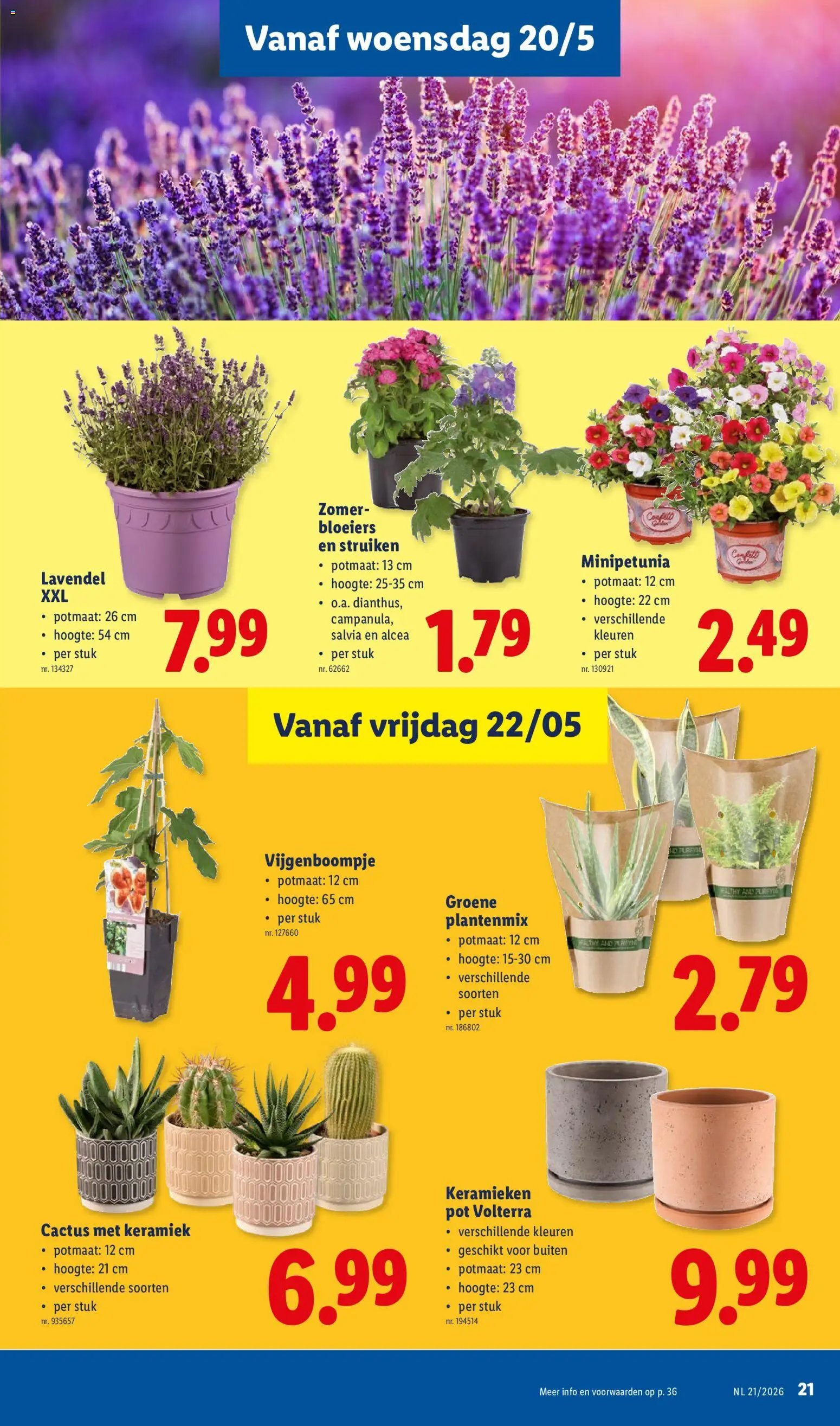Lidl Folder week 21 (2026-05-18 - 2026-05-23)
