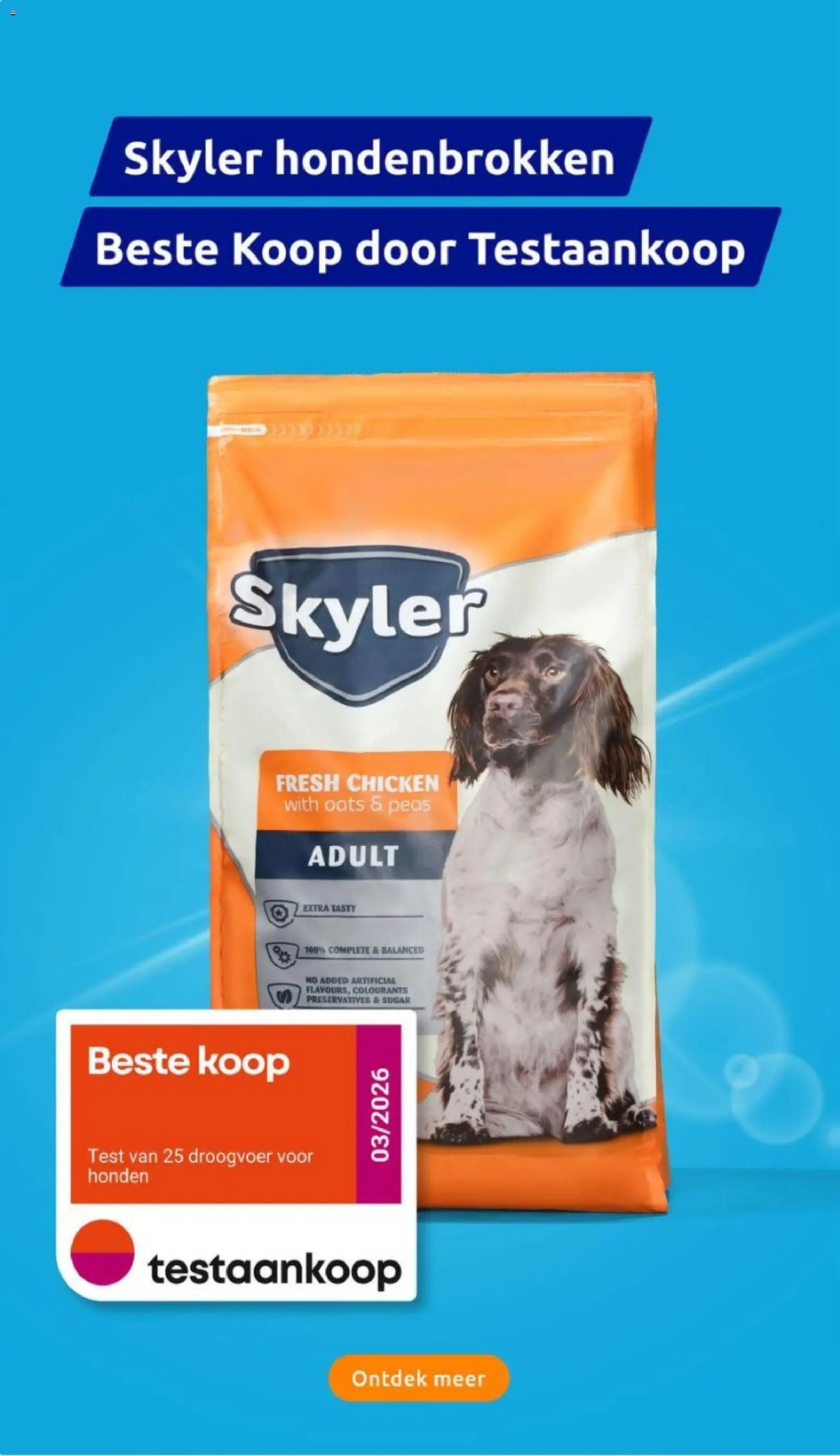 Action folder week 10