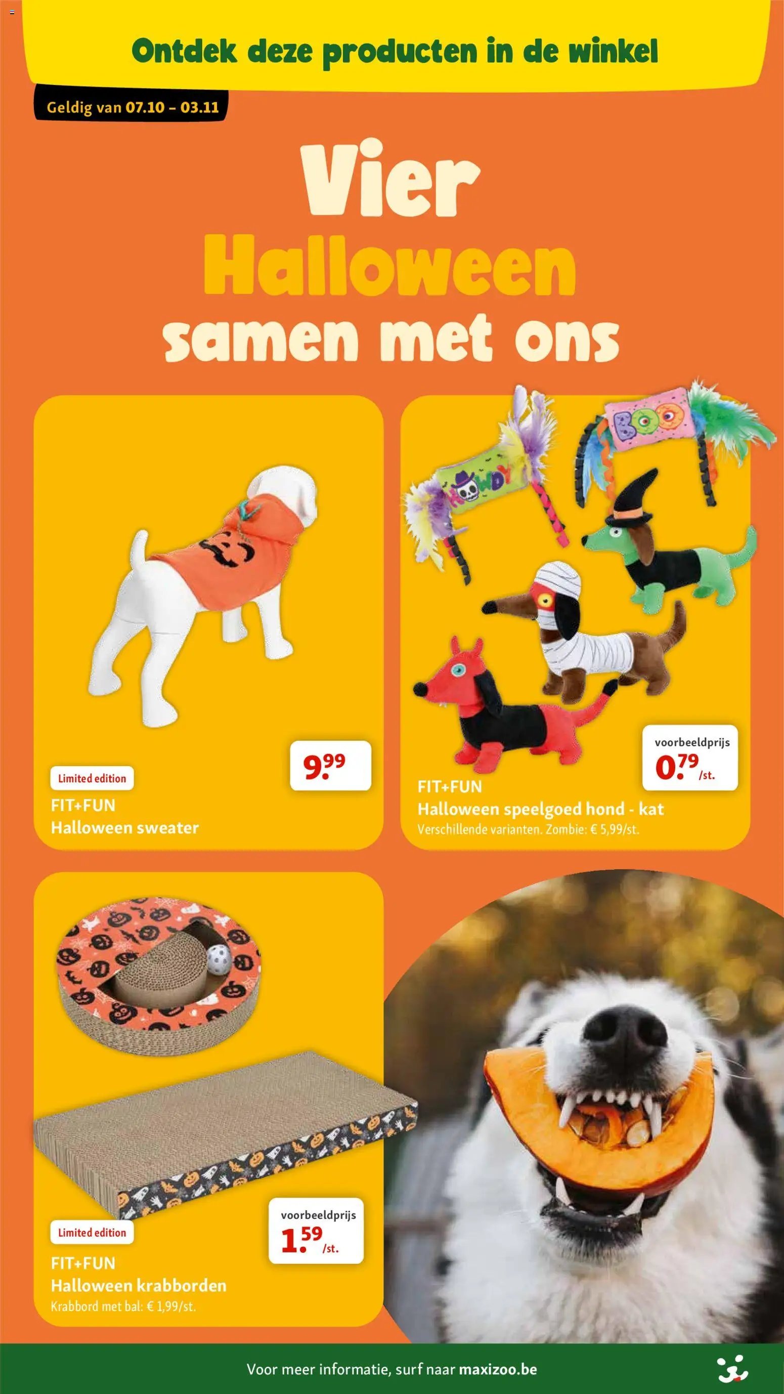 Maxi Zoo folder