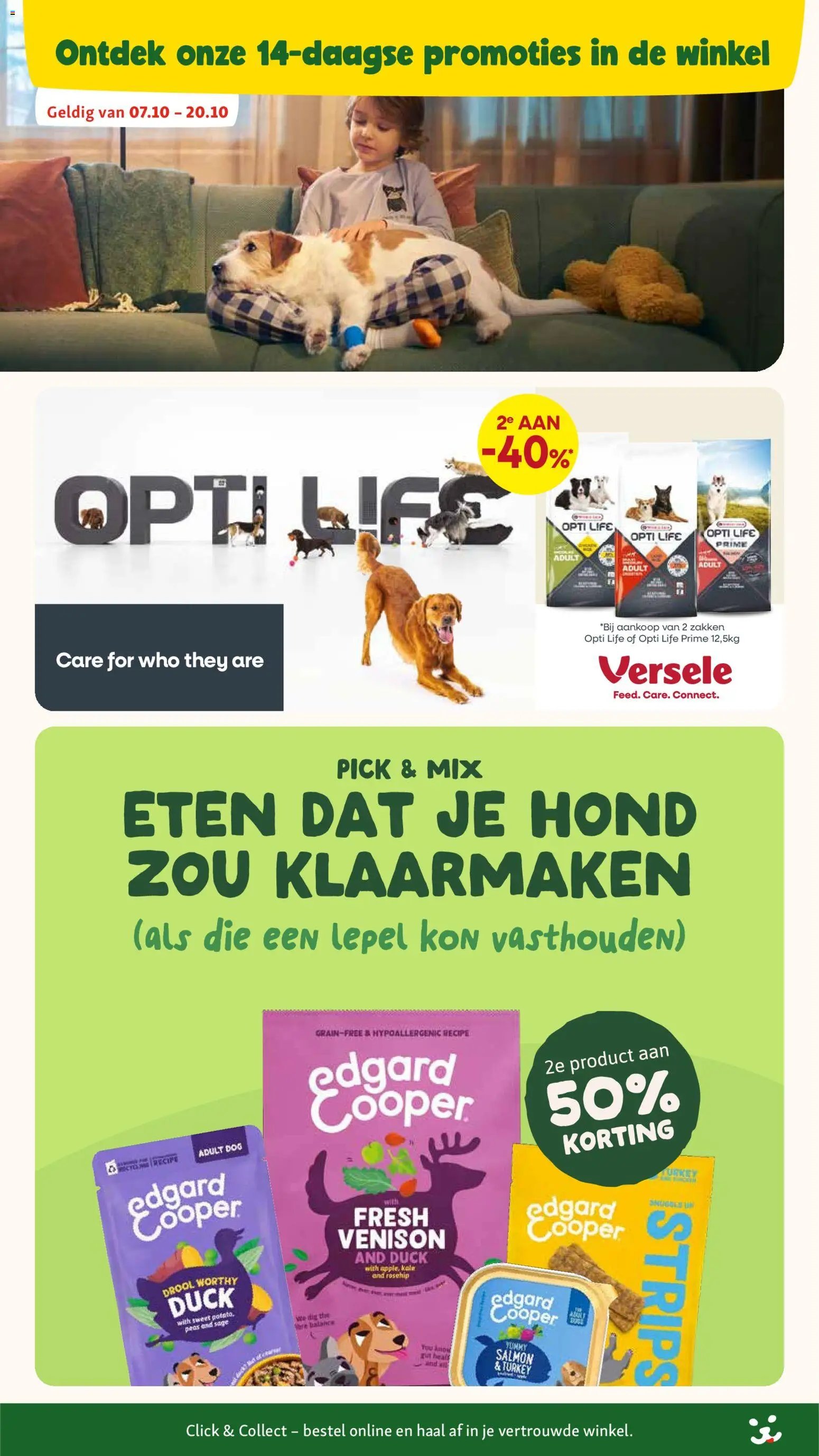Maxi Zoo folder